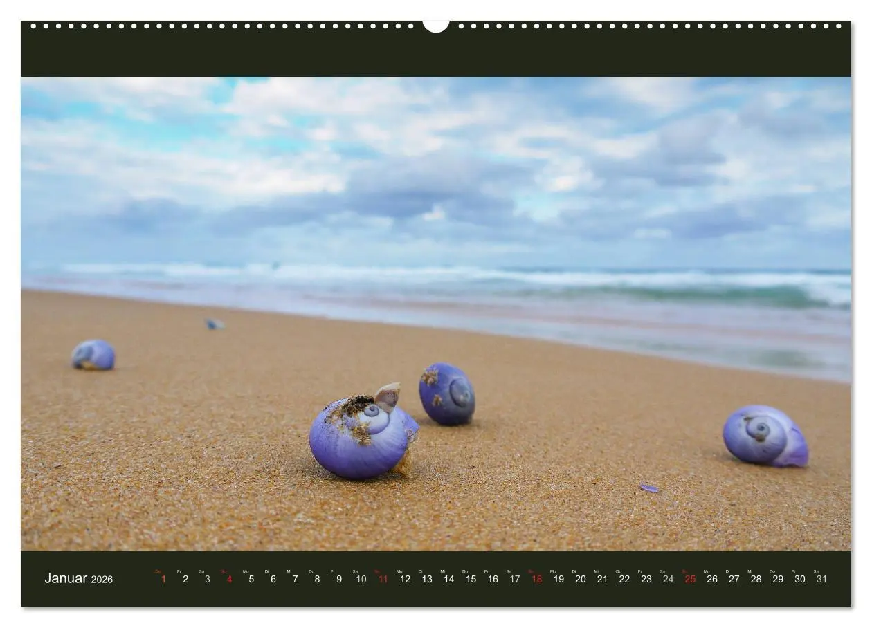 Bild: 9783516228403 | Australien - Farbige Vielfalt (Wandkalender 2026 DIN A2 quer),...