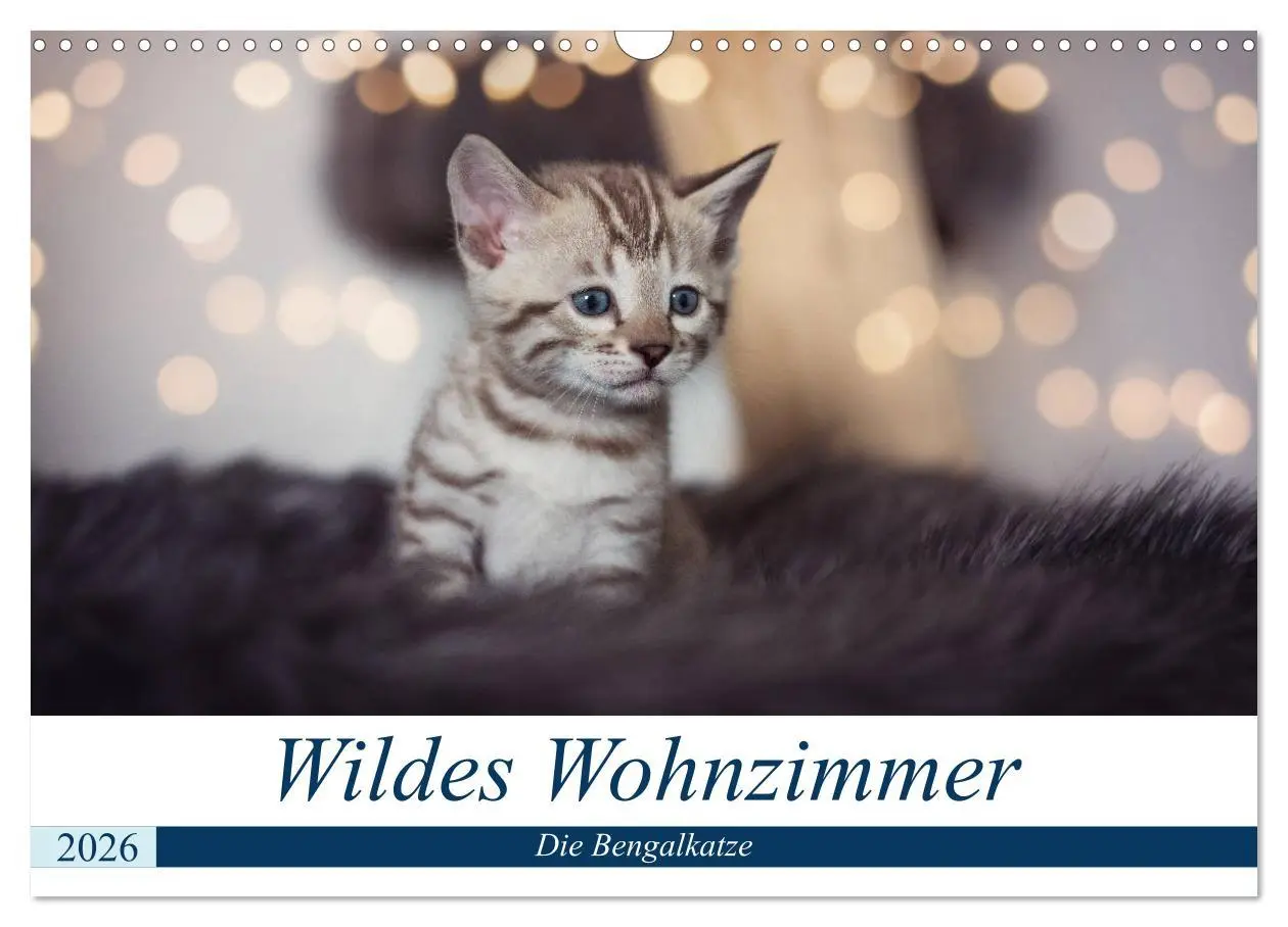 Cover: 9783457748503 | Wildes Wohnzimmer - Die Bengalkatze (Wandkalender 2026 DIN A3...