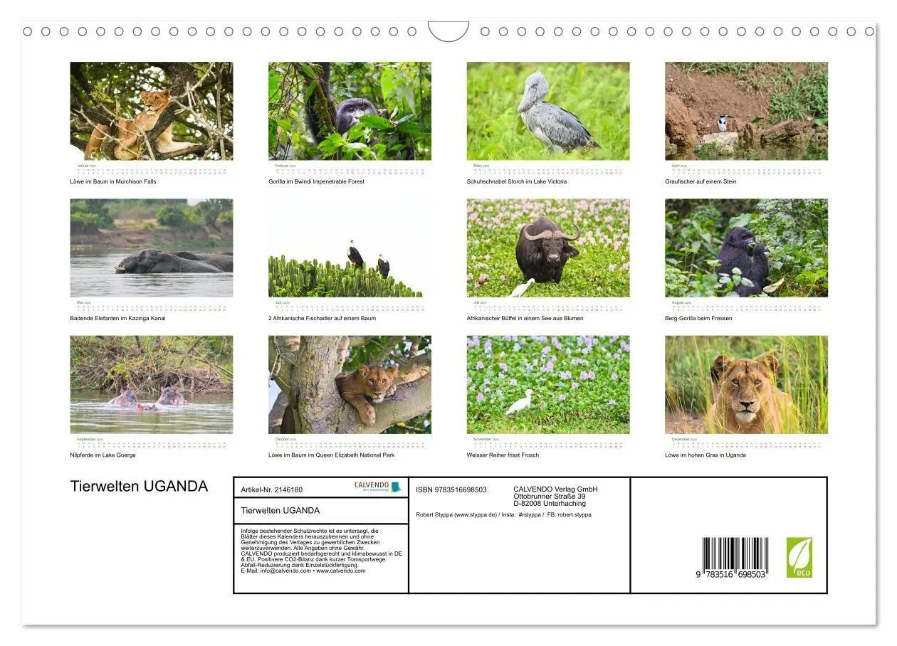Bild: 9783516698503 | Tierwelten UGANDA (Wandkalender 2026 DIN A3 quer), CALVENDO...