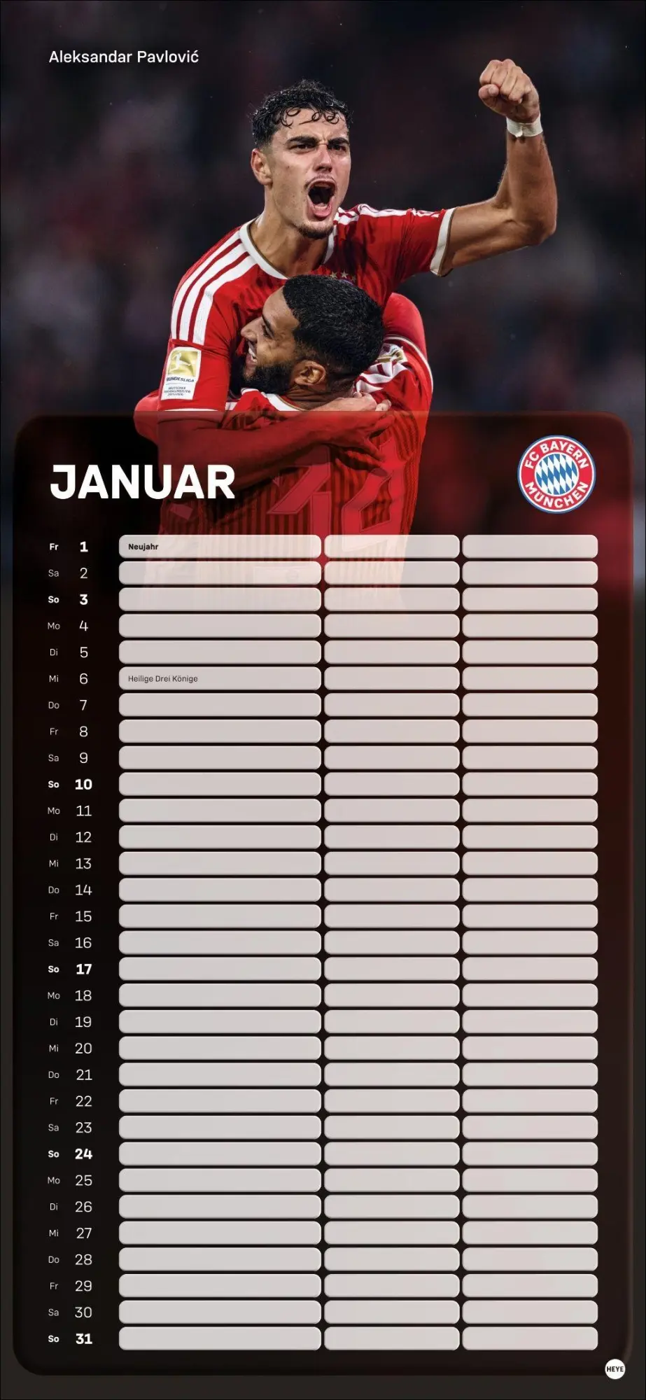Bild: 9783756418503 | FC Bayern München Fanplaner 2027 | Heye | Kalender | Spiralbindung