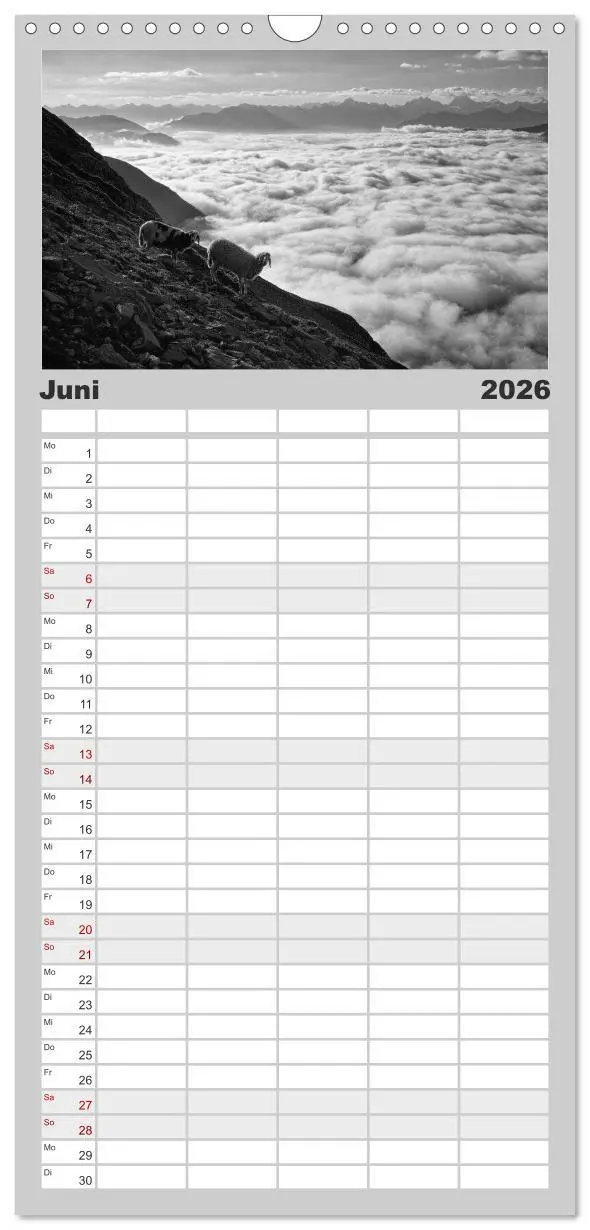 Bild: 9783516518603 | Familienplaner 2026 - Bergsucht 2026 mit 5 Spalten (Wandkalender,...