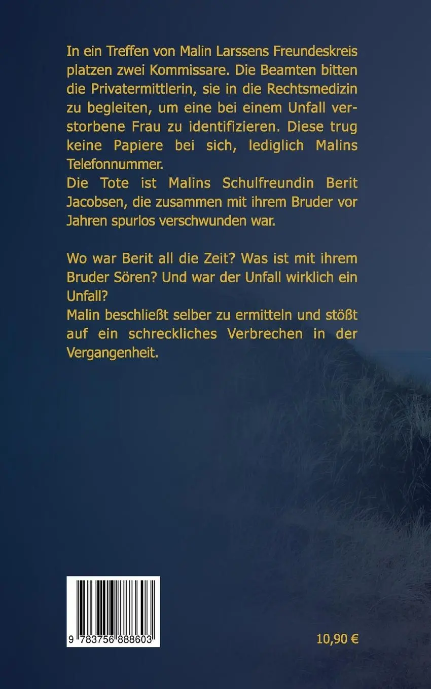Rückseite: 9783756888603 | Nacht über Veendorf | Stephanie Werner | Taschenbuch | Paperback