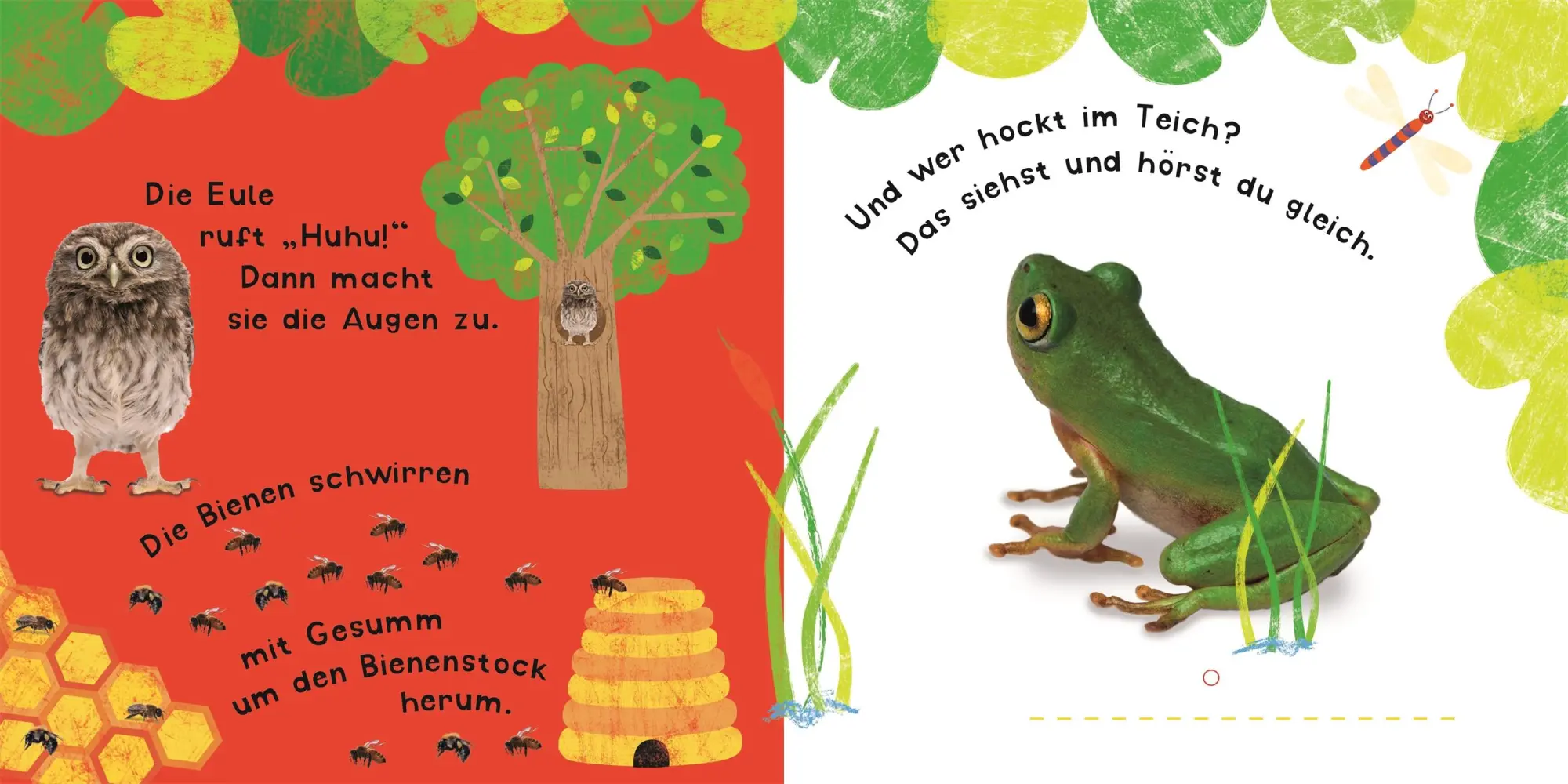 Bild: 9783831028603 | Klang-Klappenbuch. Tiere | DK Verlag | Buch | Klang-Klappenbuch | 2015