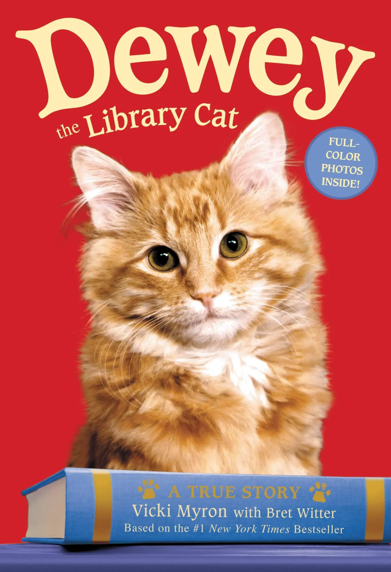 Cover: 9780316068703 | Dewey the Library Cat: A True Story | Vicki Myron (u. a.) | Buch