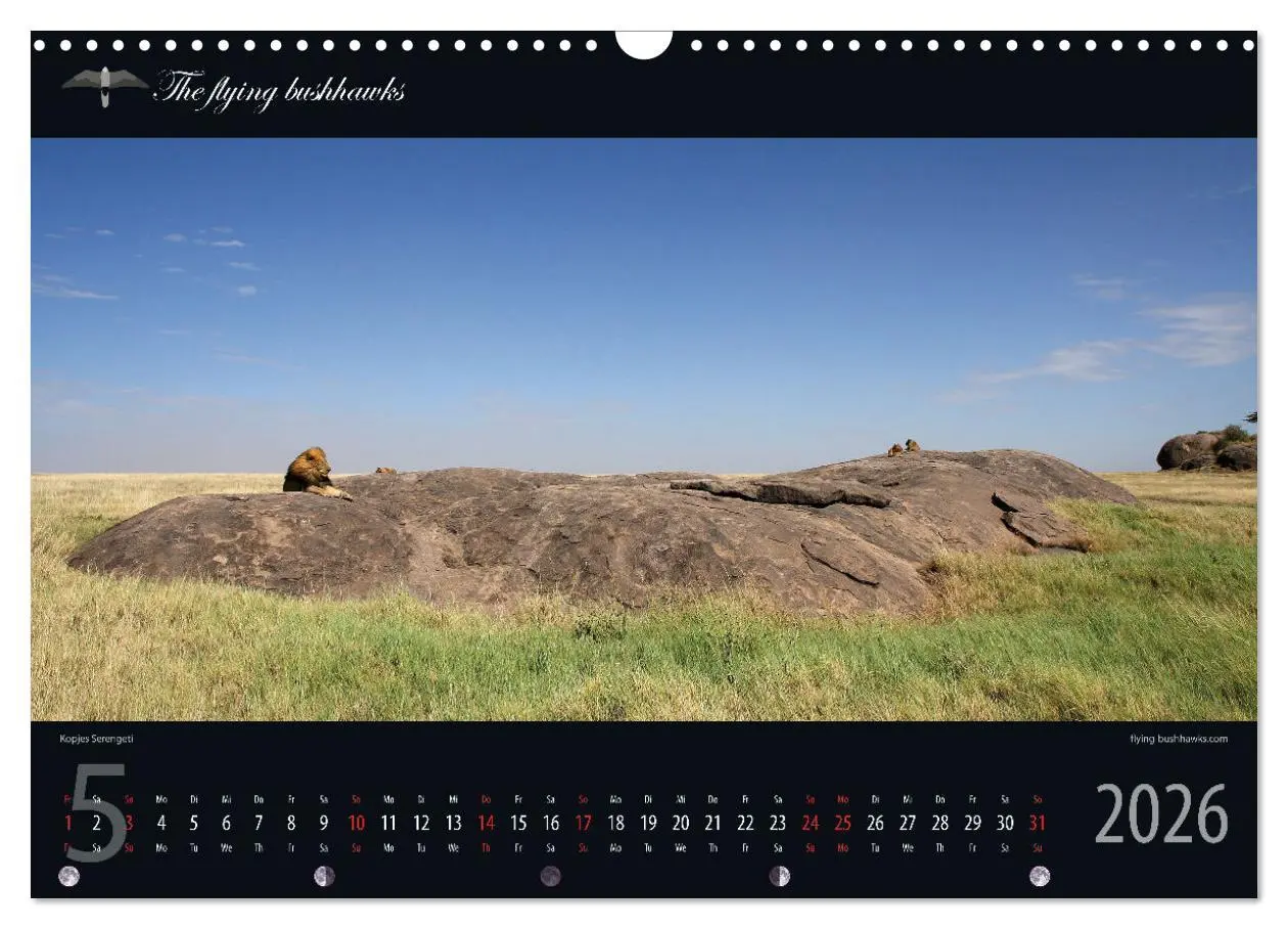 Bild: 9783457278703 | Tansania Blickwinkel 2026 (Wandkalender 2026 DIN A3 quer), CALVENDO...