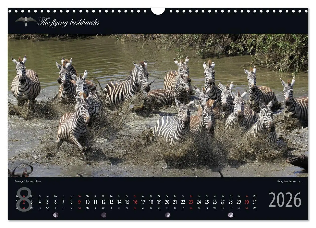 Bild: 9783457278703 | Tansania Blickwinkel 2026 (Wandkalender 2026 DIN A3 quer), CALVENDO...