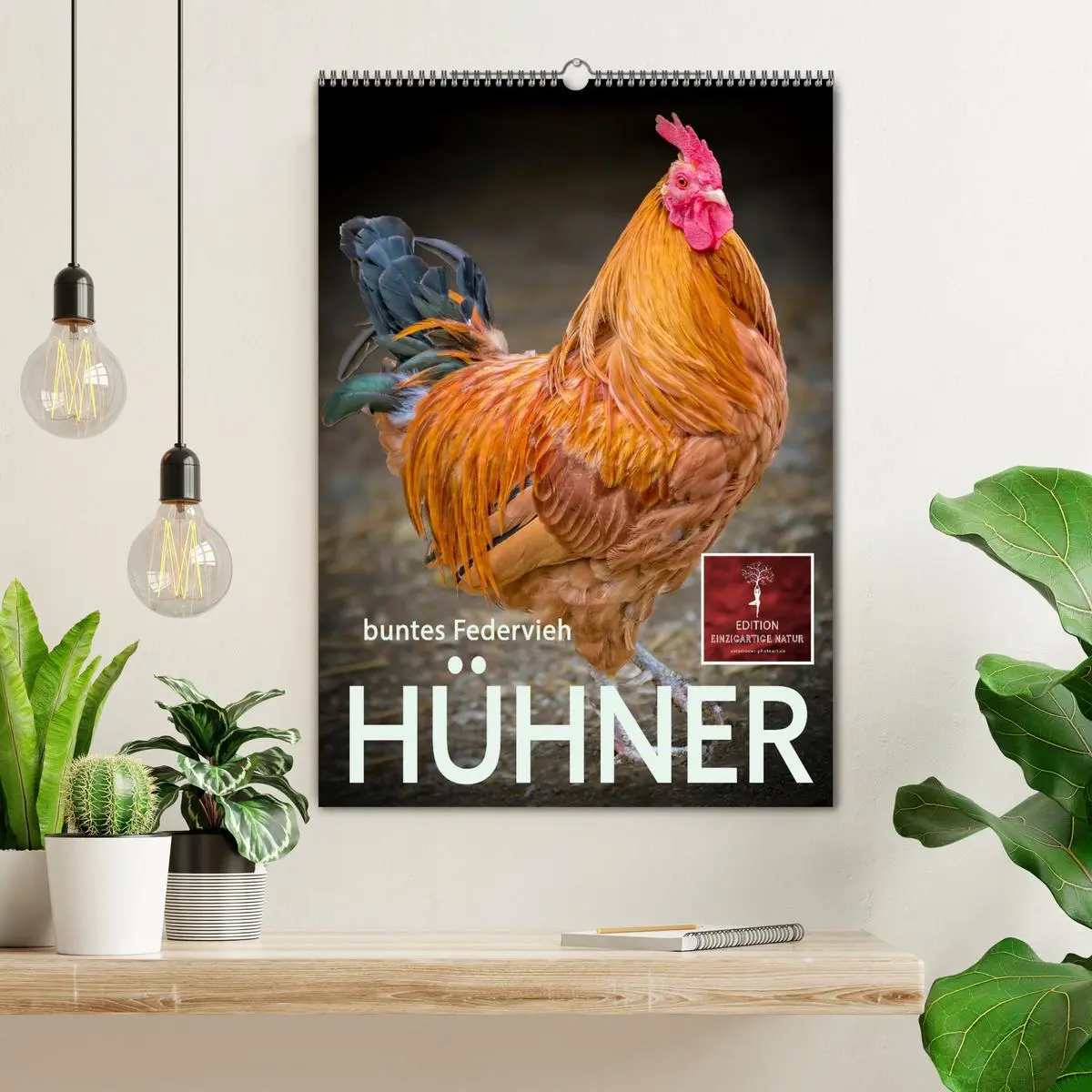Bild: 9783516368703 | Hühner - buntes Federvieh (Wandkalender 2026 DIN A2 hoch), CALVENDO...