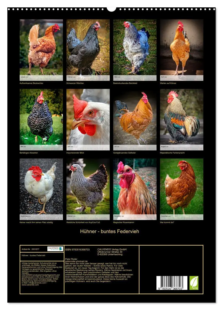 Bild: 9783516368703 | Hühner - buntes Federvieh (Wandkalender 2026 DIN A2 hoch), CALVENDO...