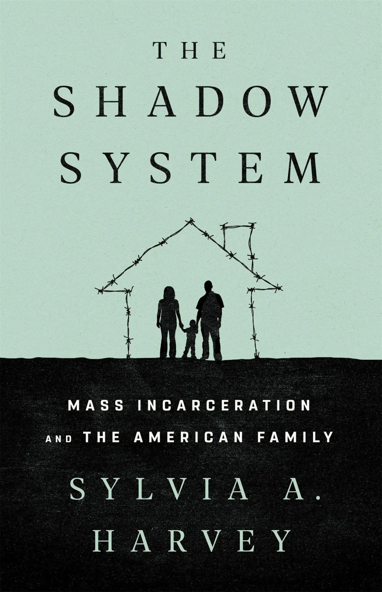 Cover: 9781568588803 | The Shadow System | Mass Incarceration and the American Family | Buch