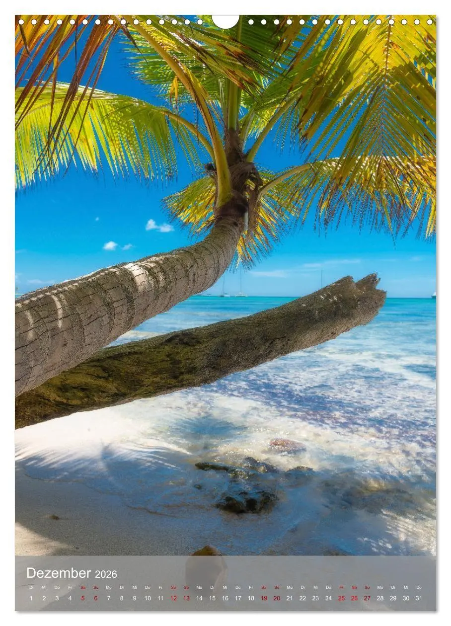 Bild: 9783516358803 | Karibischer Traum Isla Saona (Wandkalender 2026 DIN A3 hoch),...