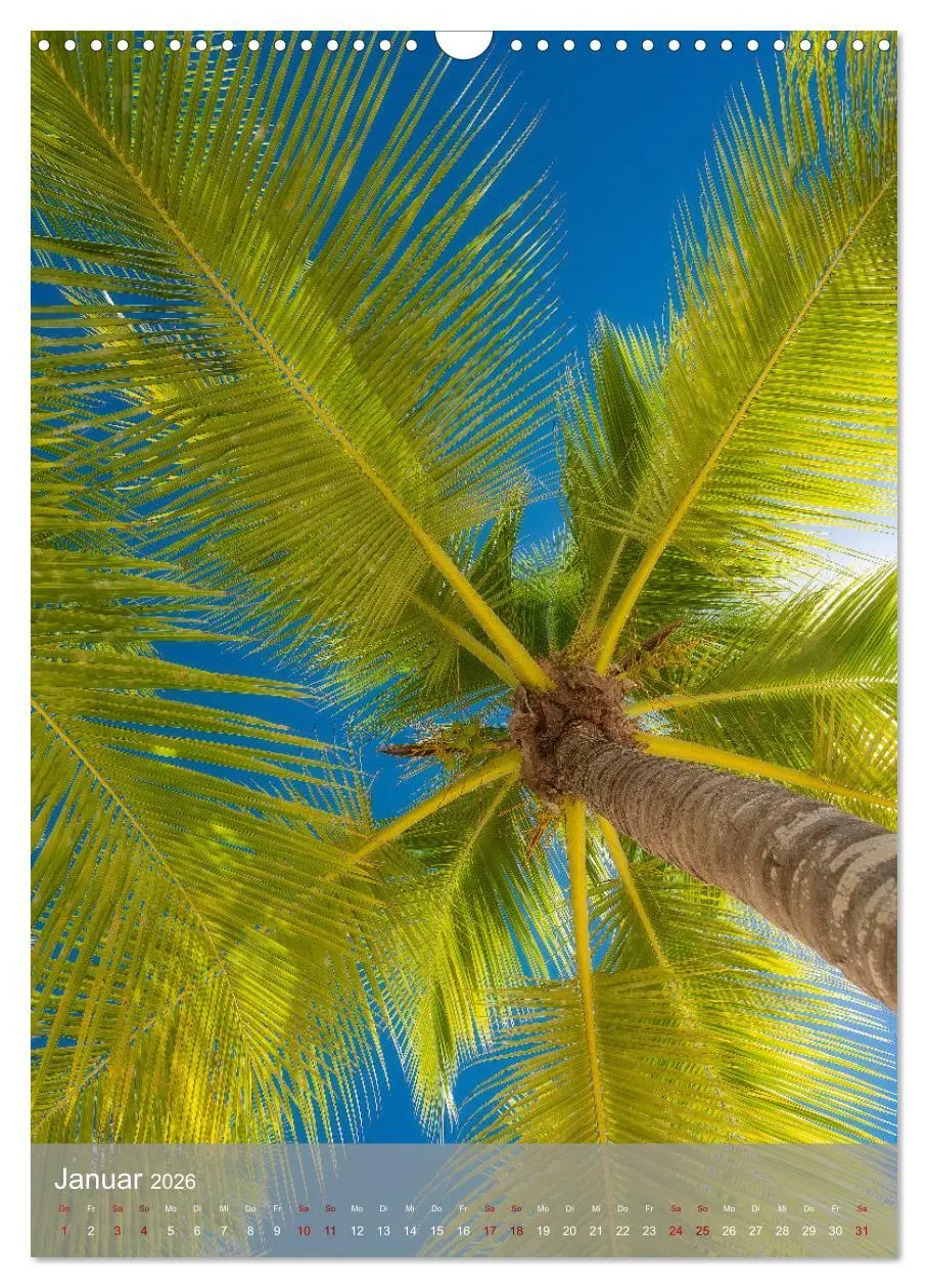 Bild: 9783516358803 | Karibischer Traum Isla Saona (Wandkalender 2026 DIN A3 hoch),...