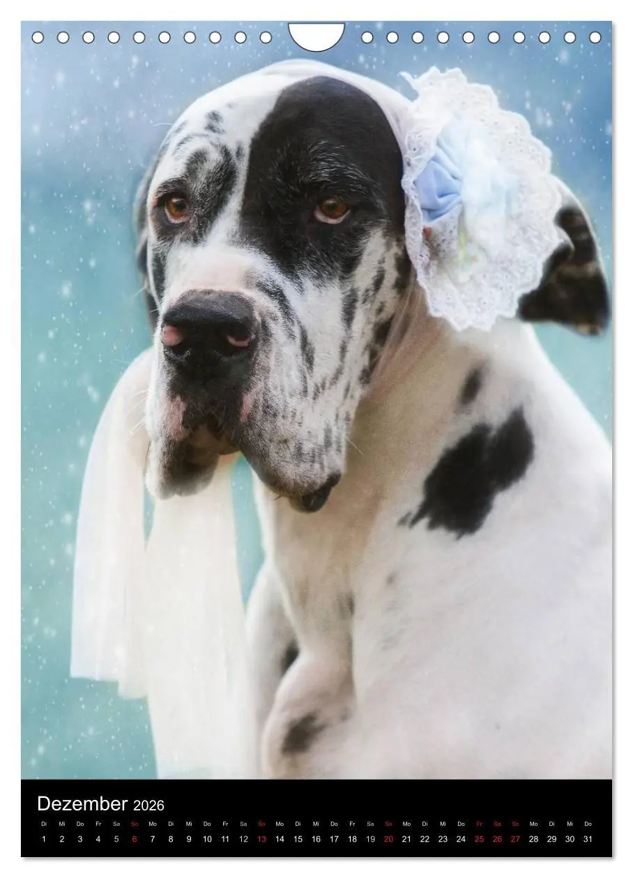Bild: 9783516428803 | Faszination Deutsche Dogge (Wandkalender 2026 DIN A4 hoch),...