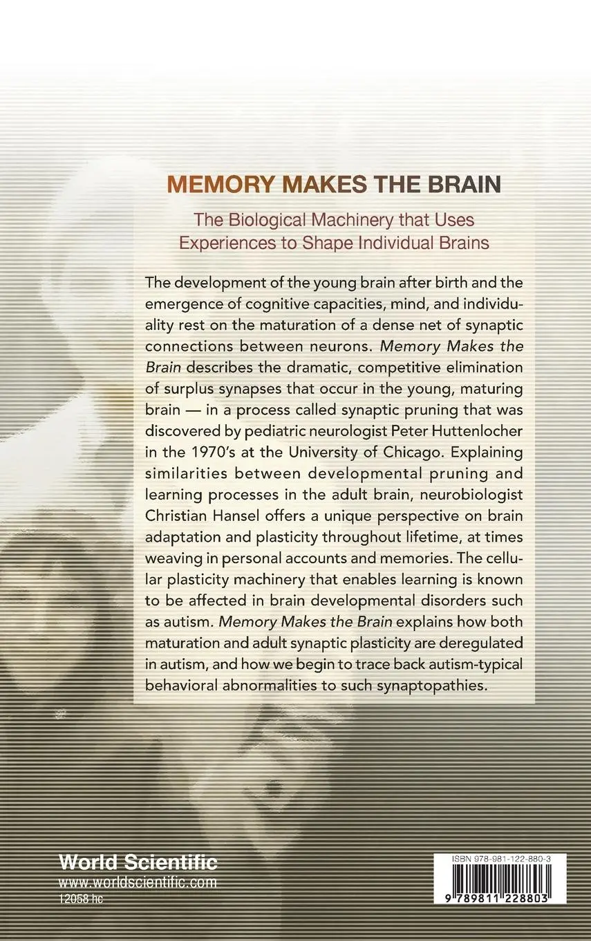 Rückseite: 9789811228803 | MEMORY MAKES THE BRAIN | Christian Hansel | Buch | Englisch | 2020