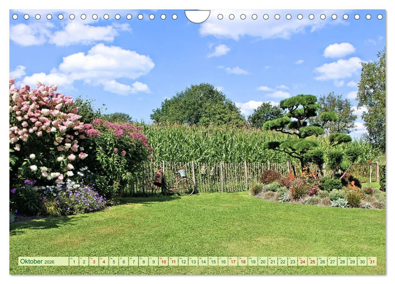 Bild: 9783457568903 | In Apen und umzu (Wandkalender 2026 DIN A4 quer), CALVENDO...