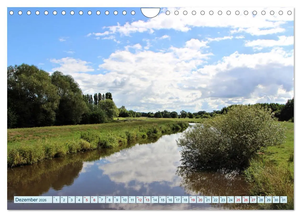Bild: 9783457568903 | In Apen und umzu (Wandkalender 2026 DIN A4 quer), CALVENDO...