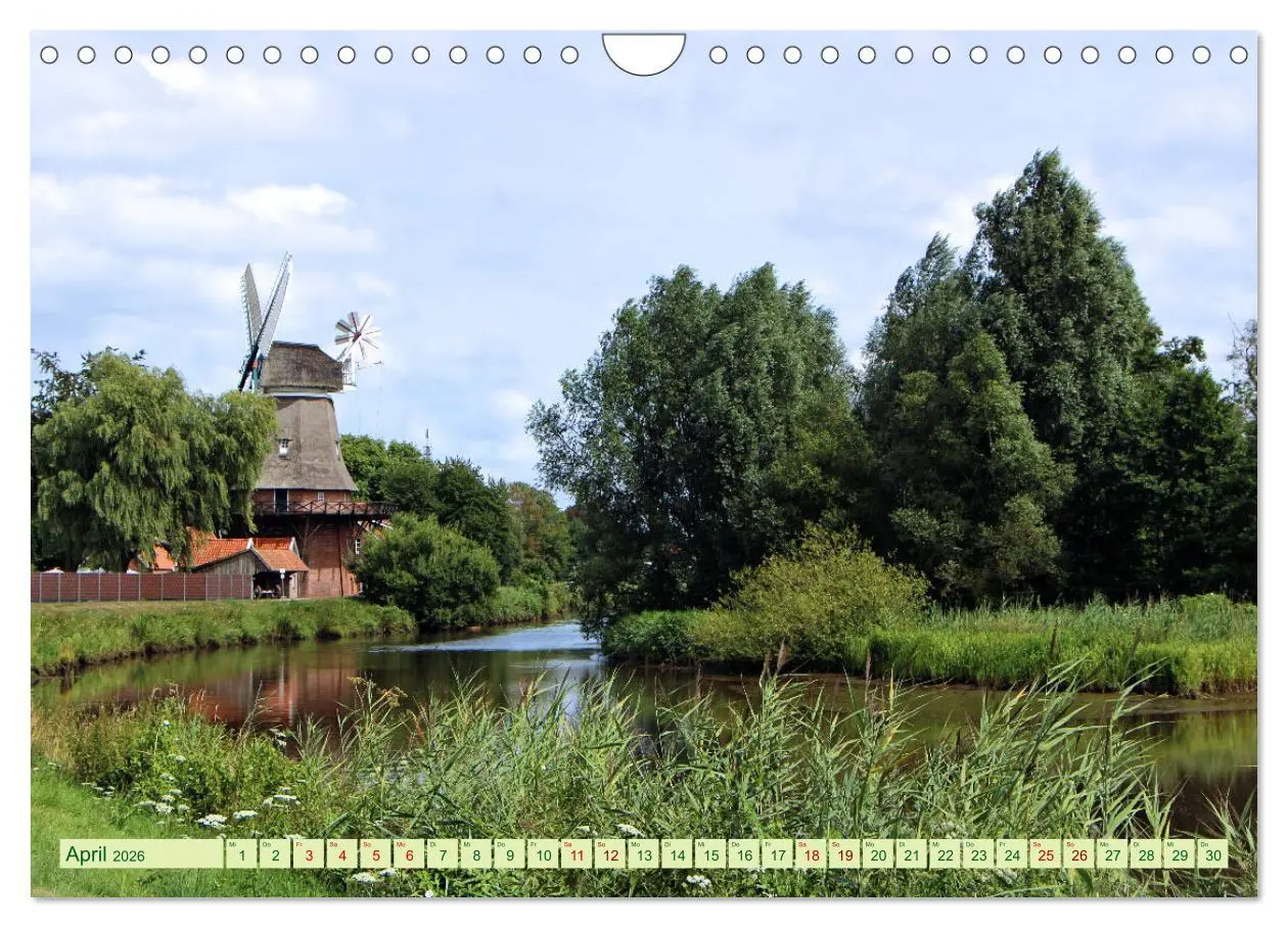 Bild: 9783457568903 | In Apen und umzu (Wandkalender 2026 DIN A4 quer), CALVENDO...