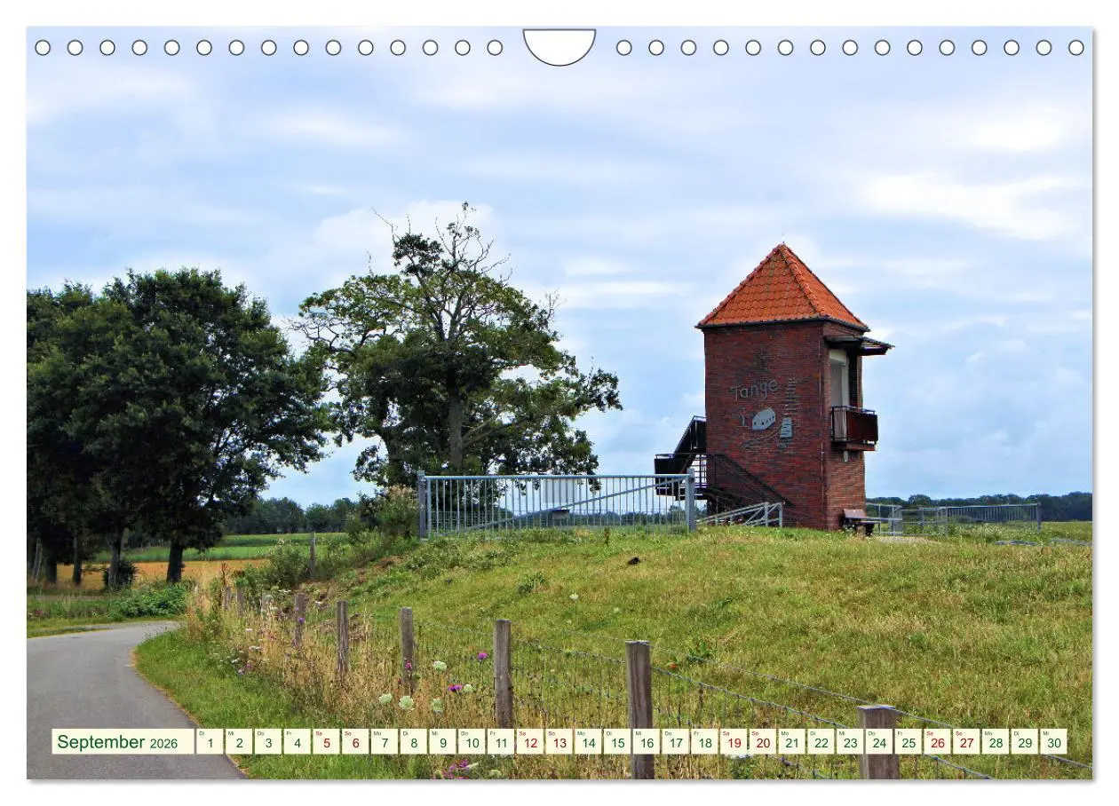 Bild: 9783457568903 | In Apen und umzu (Wandkalender 2026 DIN A4 quer), CALVENDO...