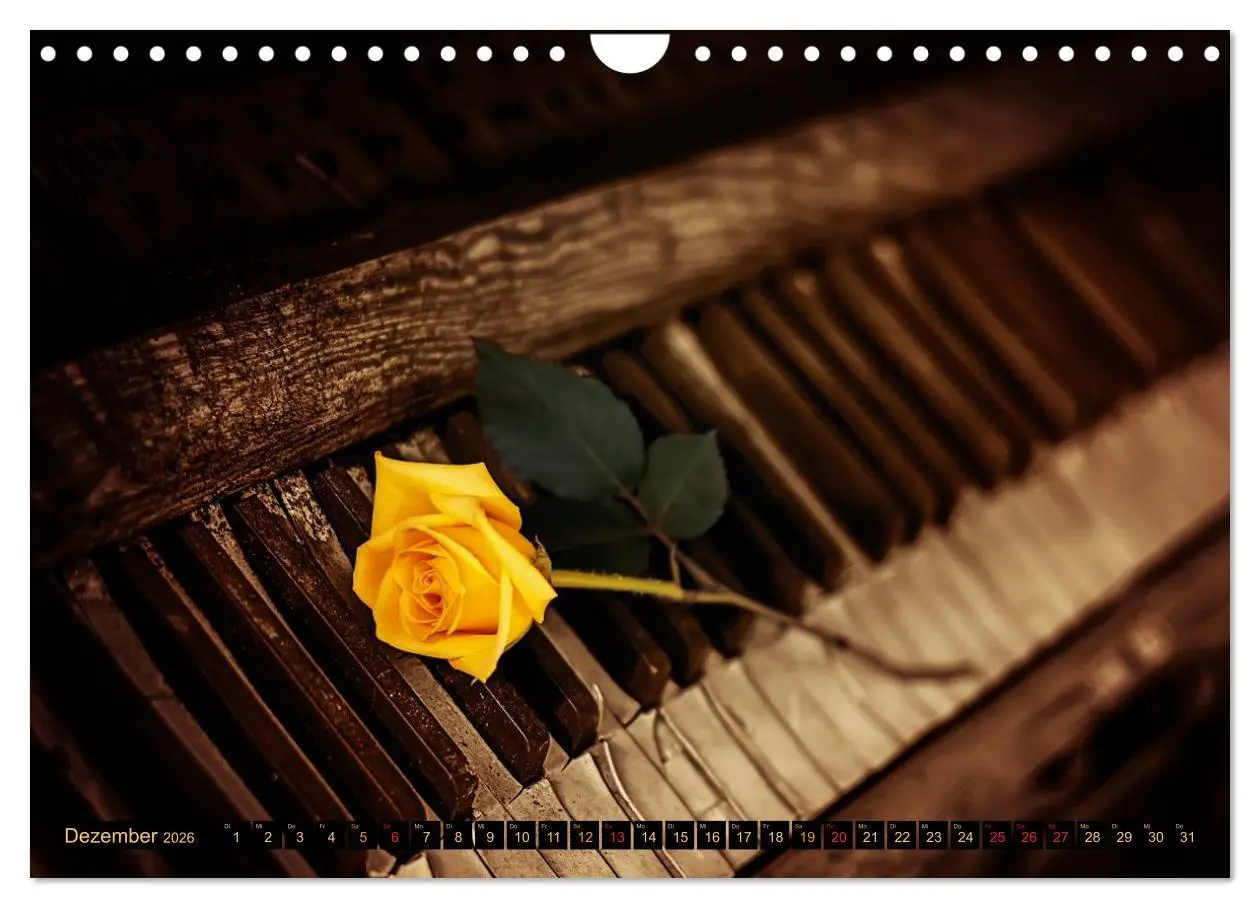 Bild: 9783457948903 | Klavier fasziniert (Wandkalender 2026 DIN A4 quer), CALVENDO...