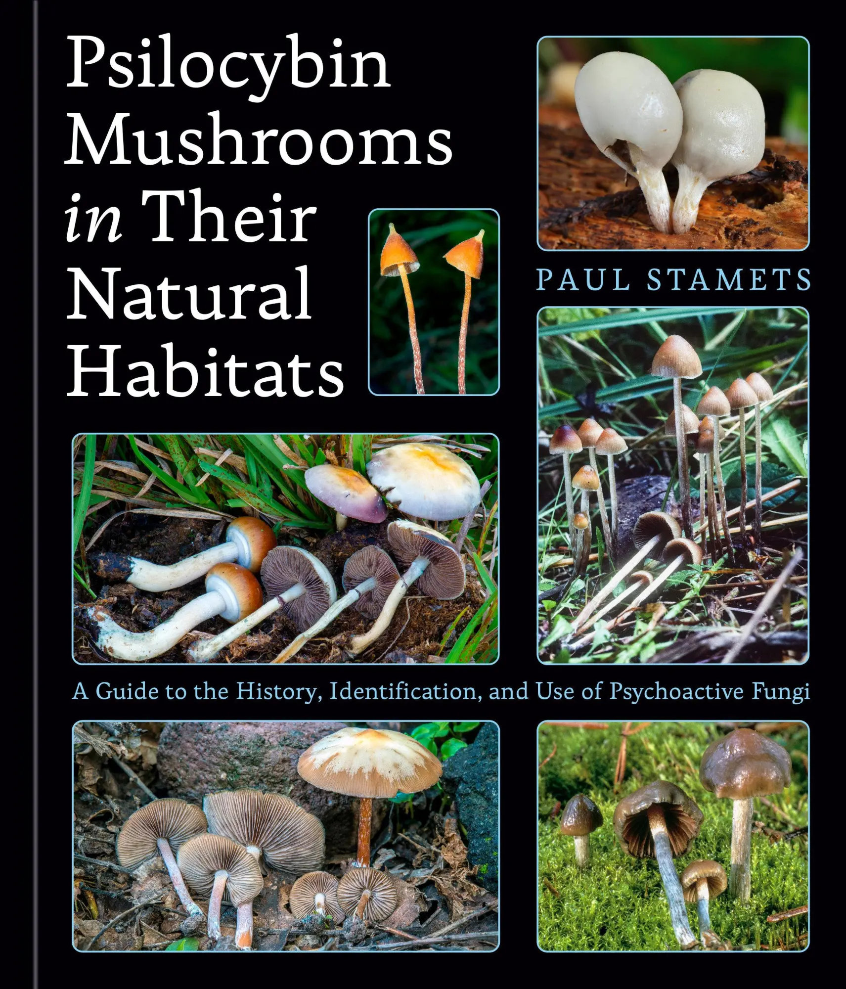 Cover: 9780593839003 | Psilocybin Mushrooms in Their Natural Habitats | Paul Stamets | Buch