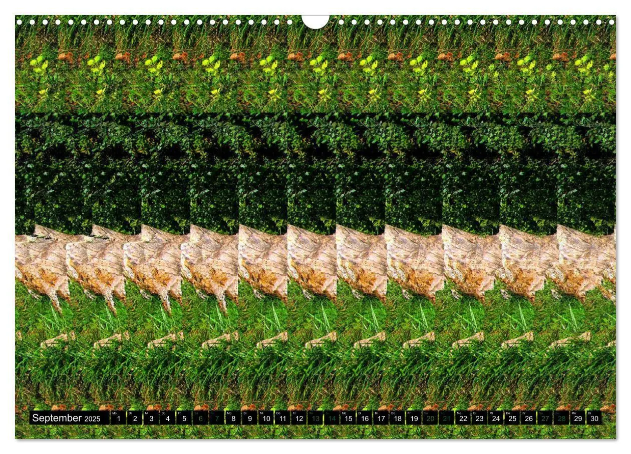 Bild: 9783435129003 | Magische Bilder - 3D Stereogramme (Wandkalender 2025 DIN A3 quer),...