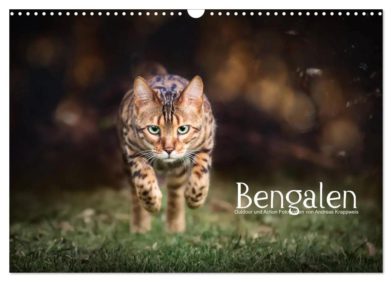 Cover: 9783457839003 | Bengalen Outdoor und Action (Wandkalender 2026 DIN A3 quer),...