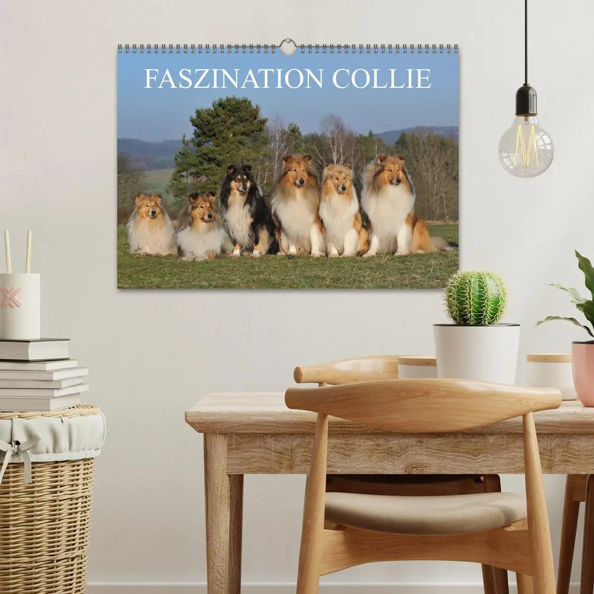 Bild: 9783516169003 | Faszination Collie 2026 (Wandkalender 2026 DIN A3 quer), CALVENDO...