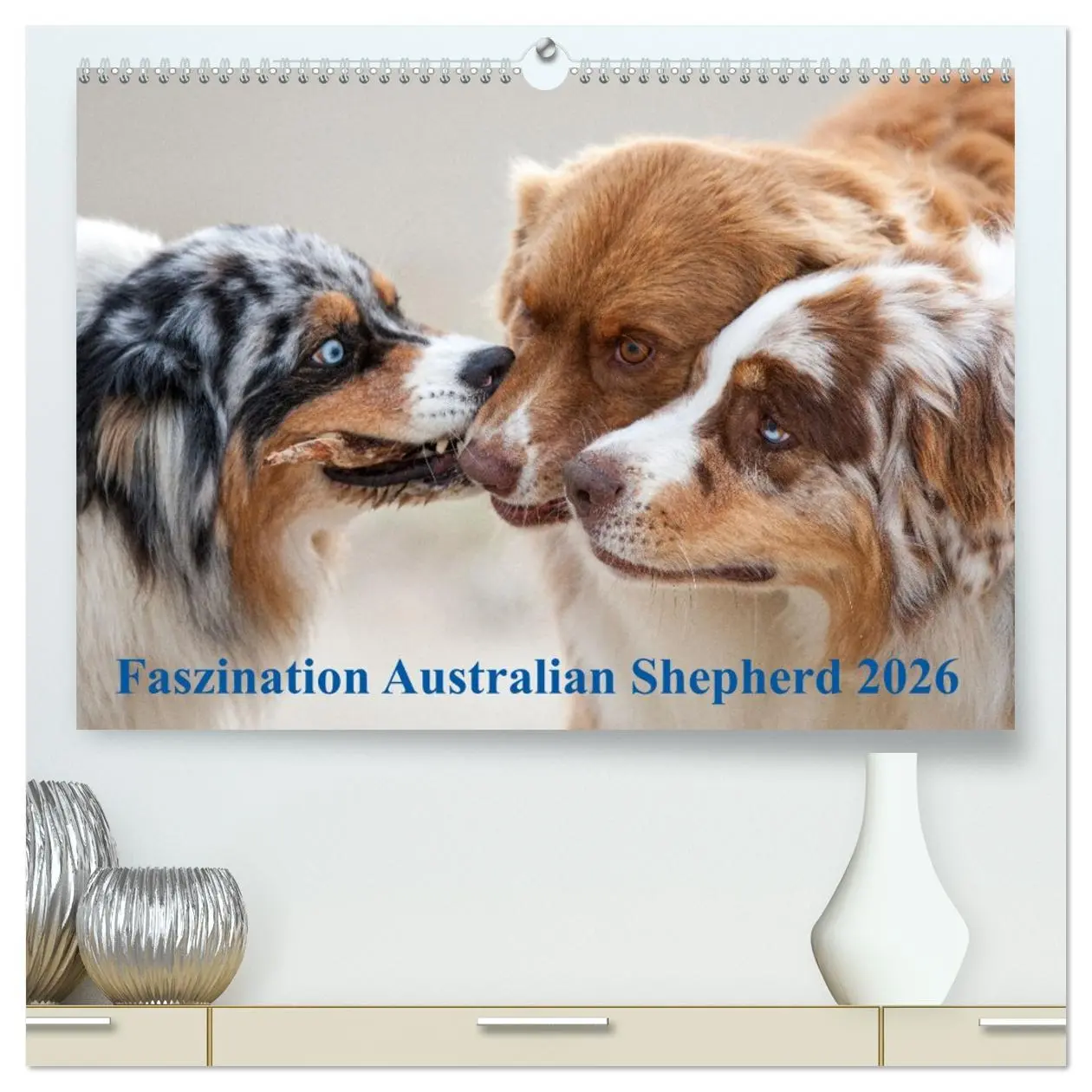 Cover: 9783516239003 | Australian Shepherd 2026 (hochwertiger Premium Wandkalender 2026...