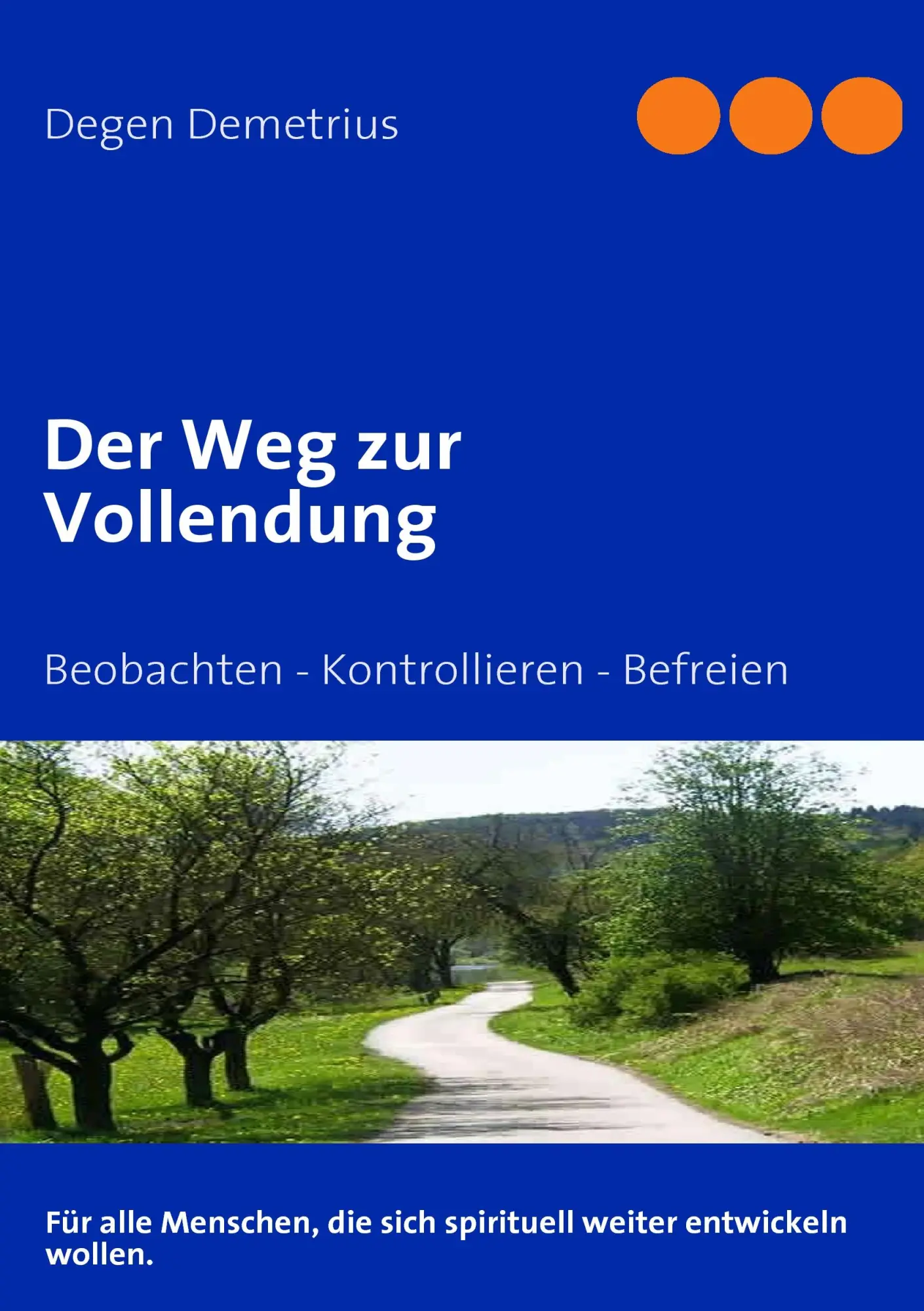Cover: 9783837099003 | Der Weg zur Vollendung | Demetrius Degen | Taschenbuch | 84 S. | 2009