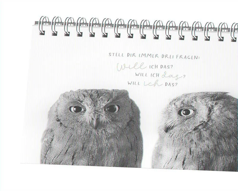 Bild: 9783862299003 | Traumtage | Spiralbuch | GRAFIK WERKSTATT Das Original | Taschenbuch