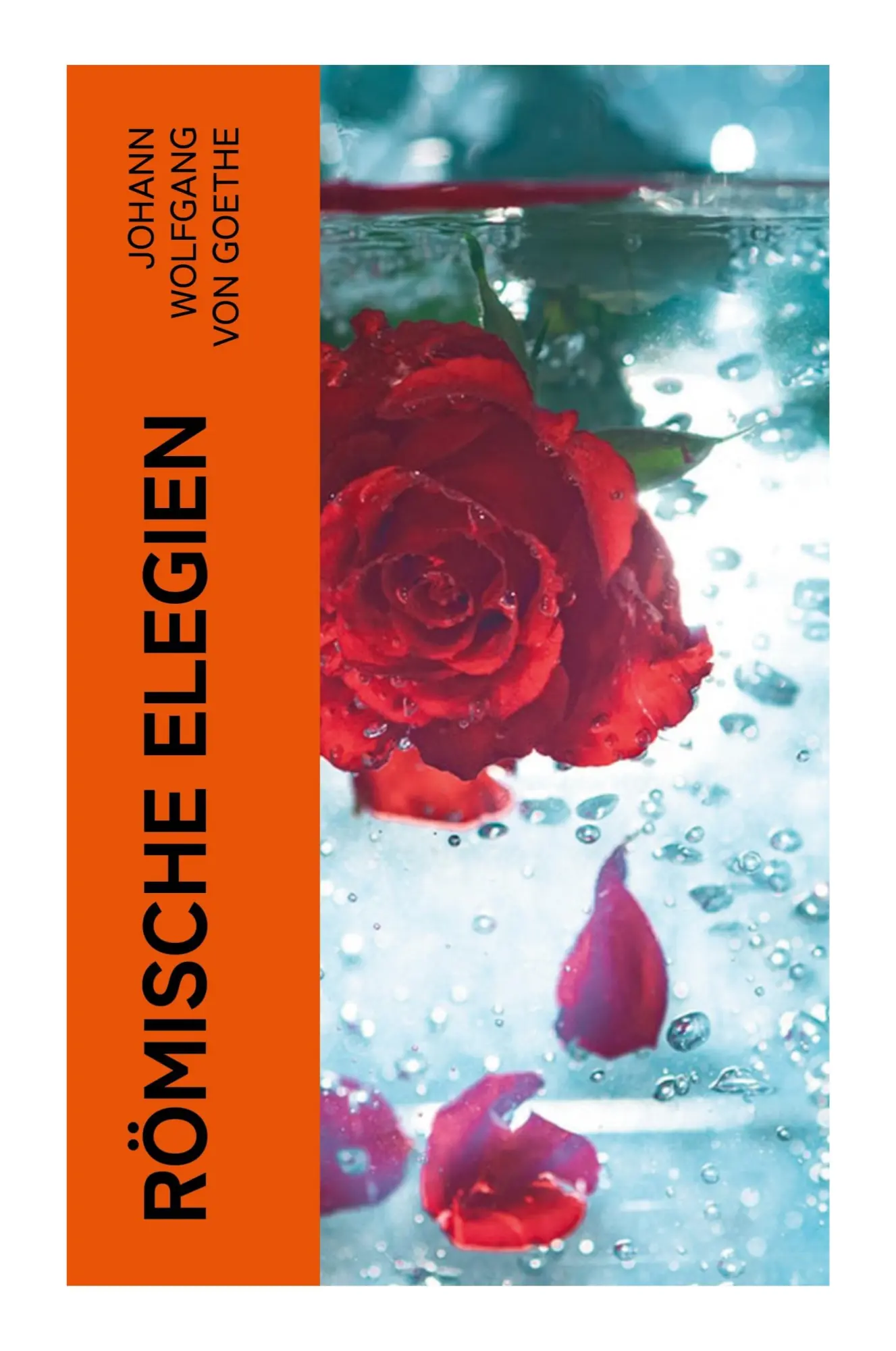 Cover: 9788027369003 | Römische Elegien | Johann Wolfgang von Goethe | Taschenbuch | 36 S.