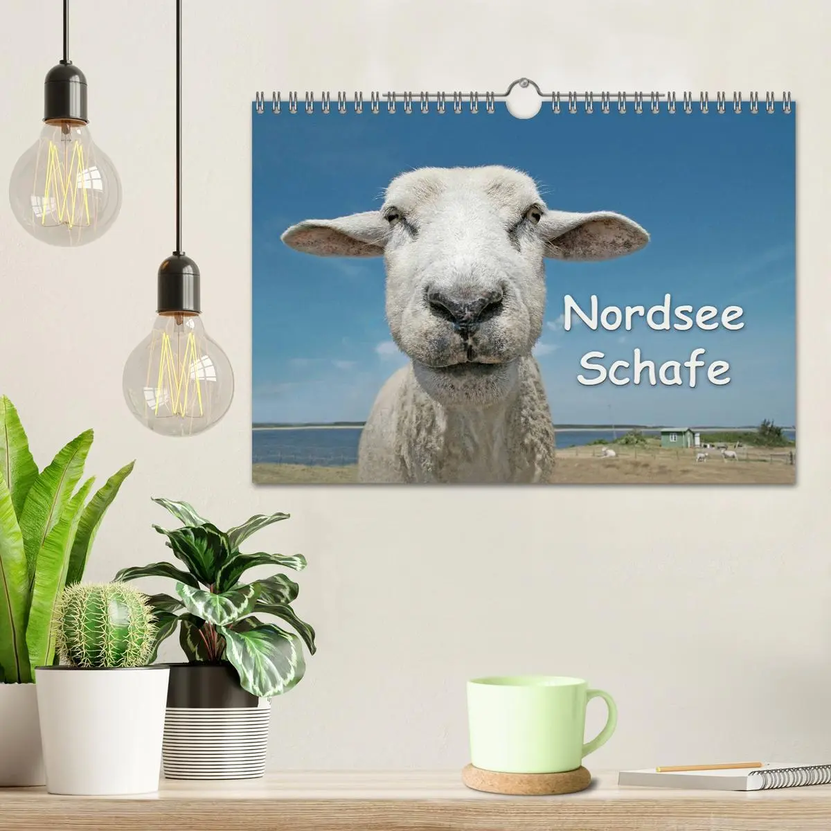 Bild: 9783516089103 | Nordsee Schafe (Wandkalender 2026 DIN A4 quer), CALVENDO...