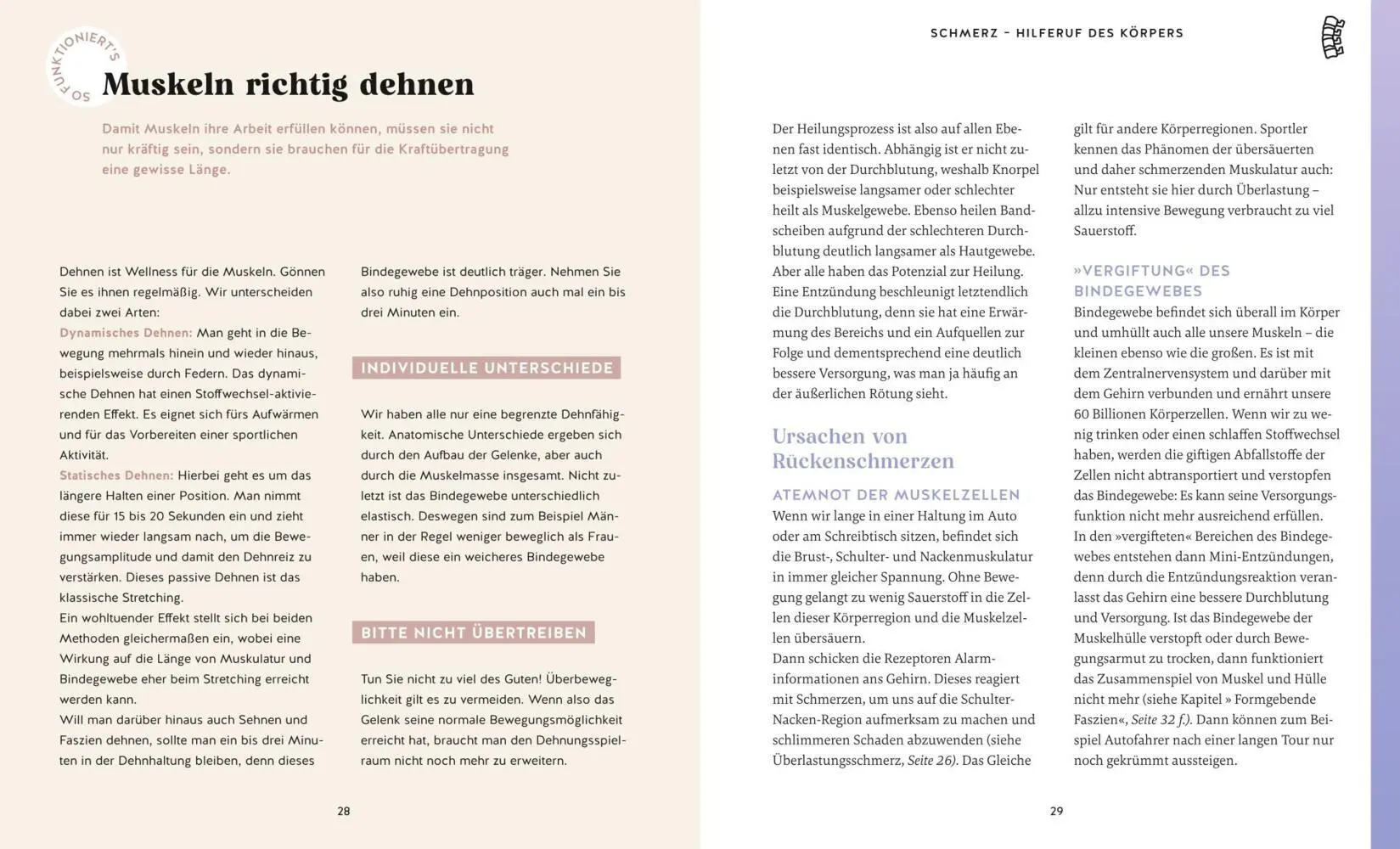Bild: 9783833889103 | Bandscheiben-Akut-Training | Ingo Froböse | Taschenbuch | Fitness