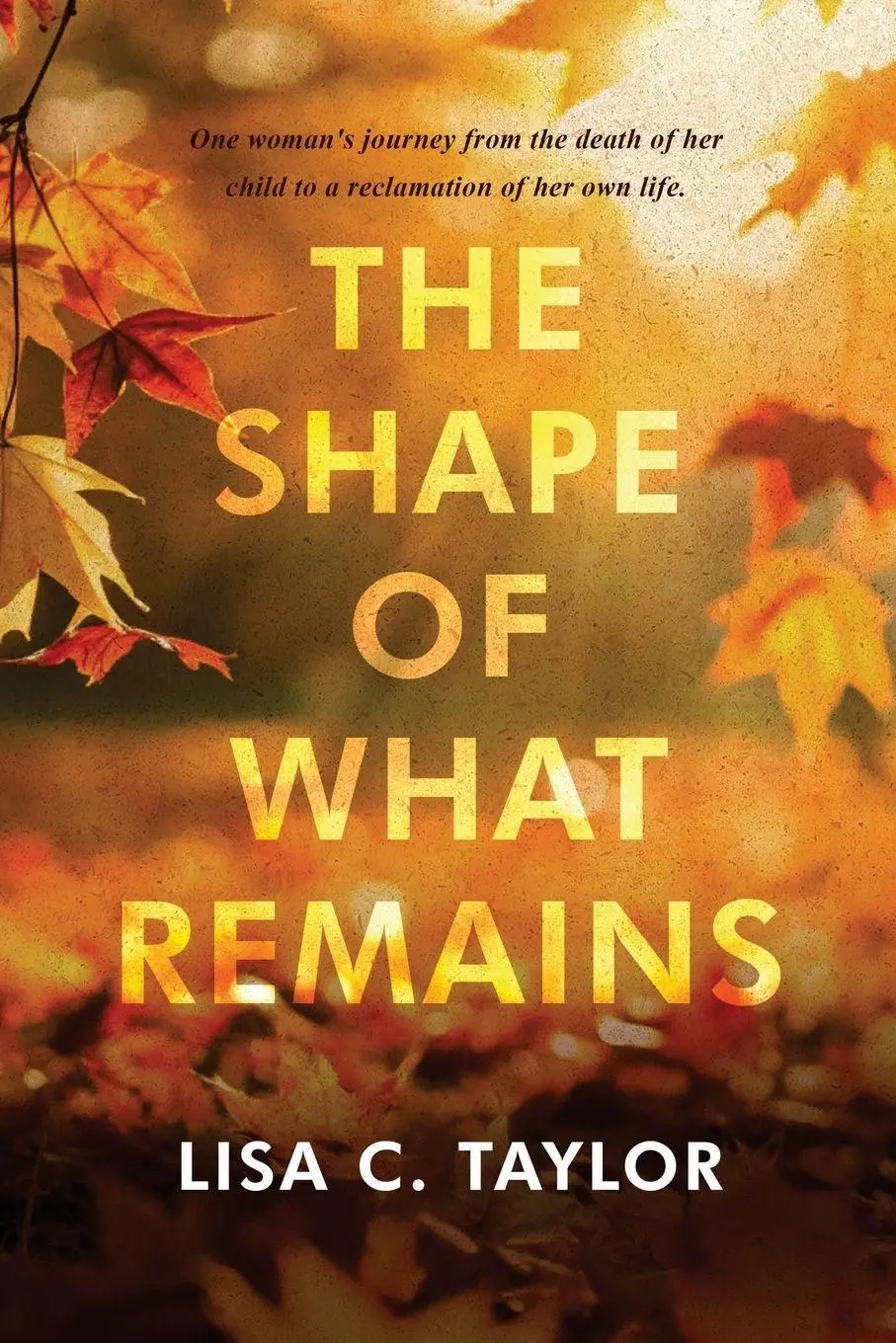 Cover: 9781965059203 | The Shape of What Remains | Lisa C Taylor | Taschenbuch | Englisch