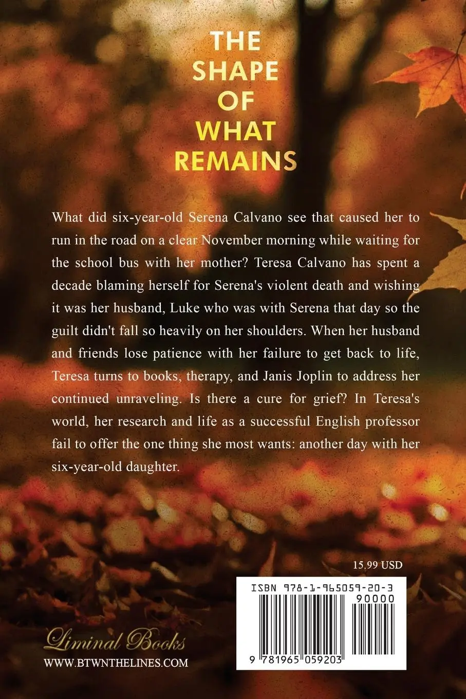 Rückseite: 9781965059203 | The Shape of What Remains | Lisa C Taylor | Taschenbuch | Englisch