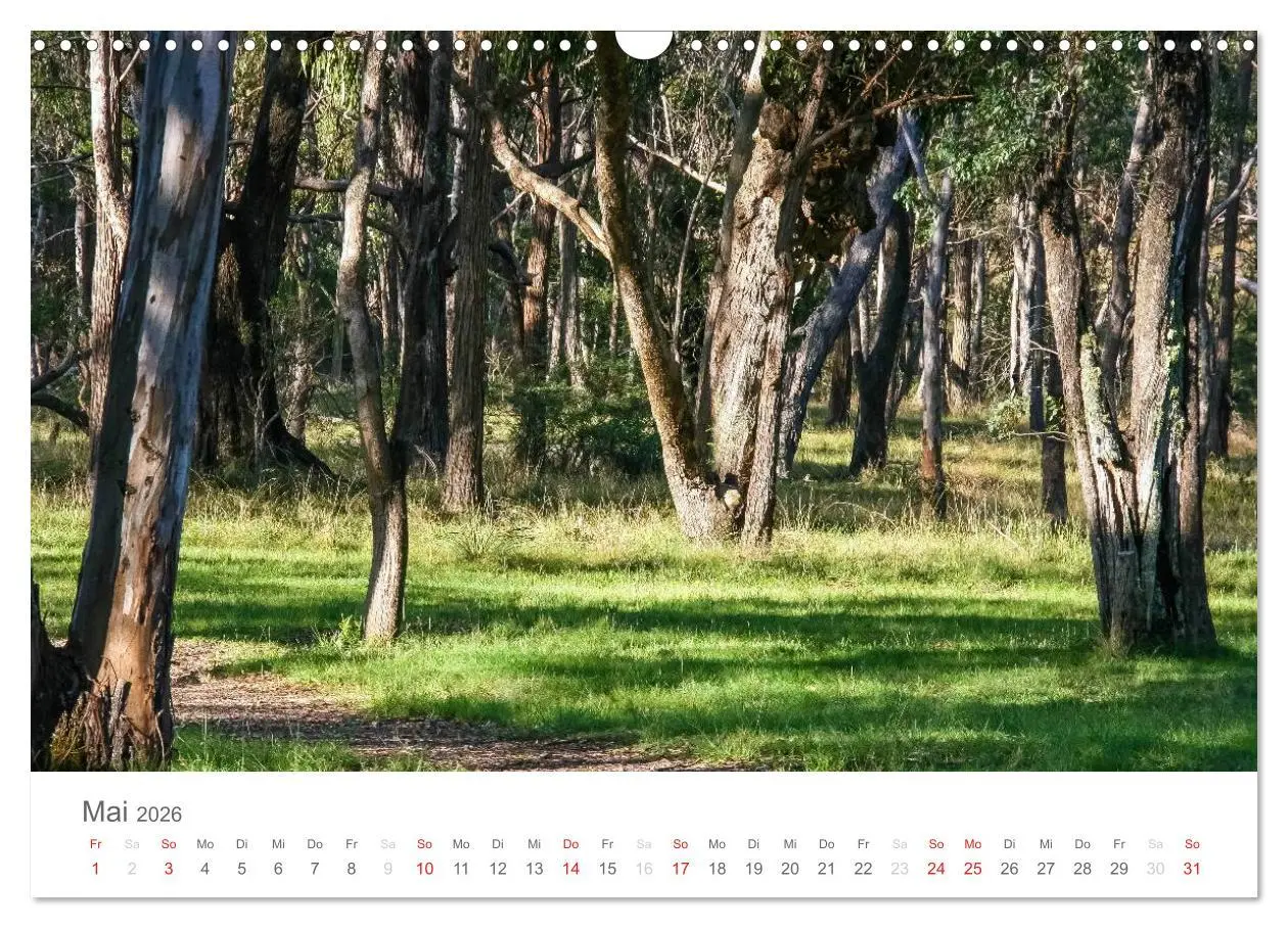 Bild: 9783516079203 | Australien 2026 Best of Down Under (Wandkalender 2026 DIN A3 quer),...