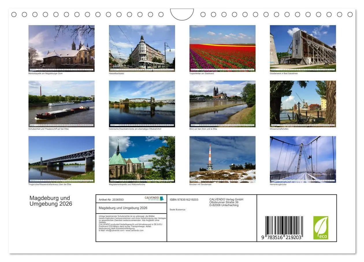Bild: 9783516219203 | Magdeburg und Umgebung 2026 (Wandkalender 2026 DIN A4 quer),...