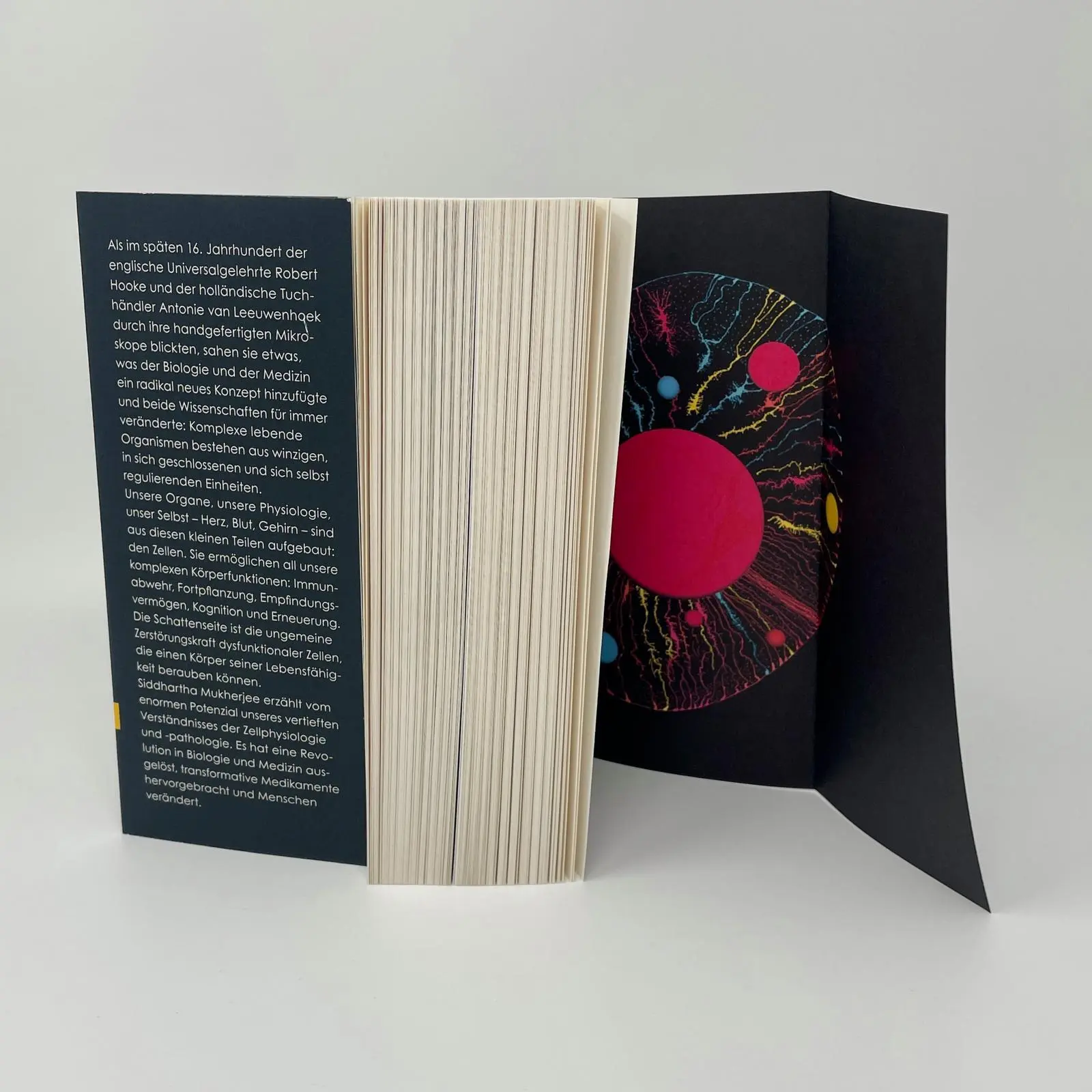 Bild: 9783548069203 | Das Lied der Zelle | Siddhartha Mukherjee | Taschenbuch | 672 S.
