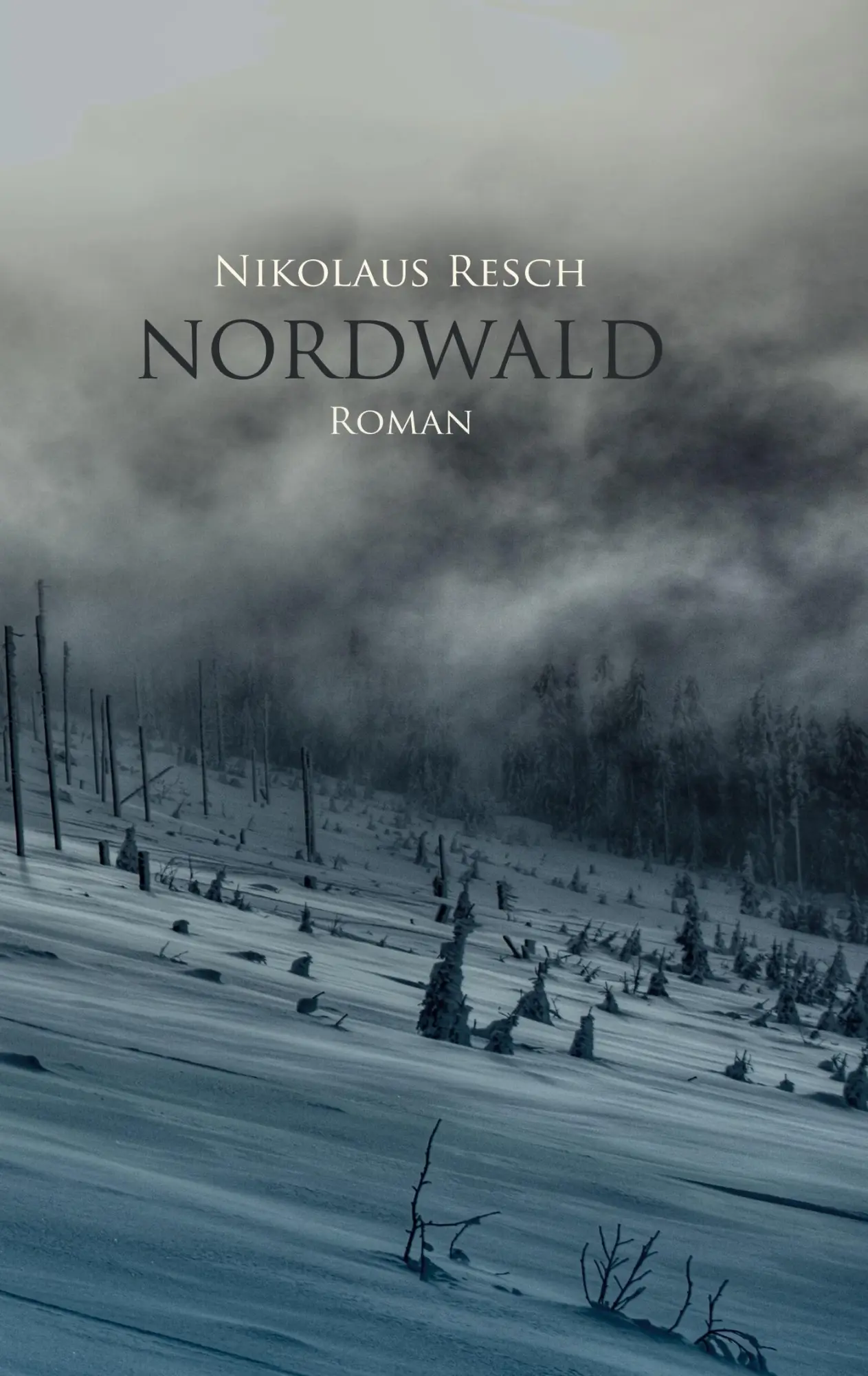 Cover: 9783744849203 | Nordwald | Nikolaus Resch | Taschenbuch | 408 S. | Deutsch | 2020