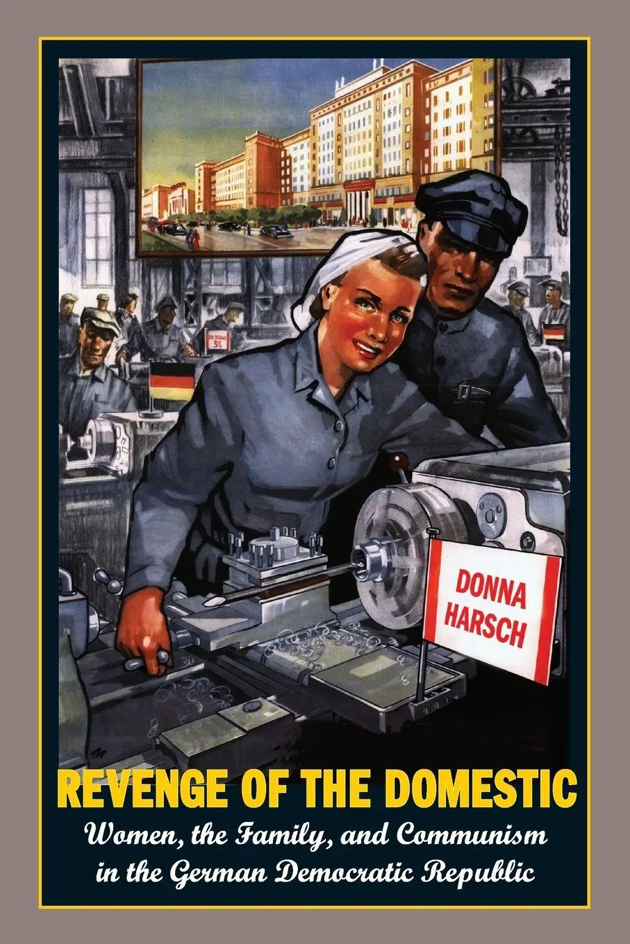 Cover: 9780691059303 | Revenge of the Domestic | Donna Harsch | Taschenbuch | Englisch | 2008