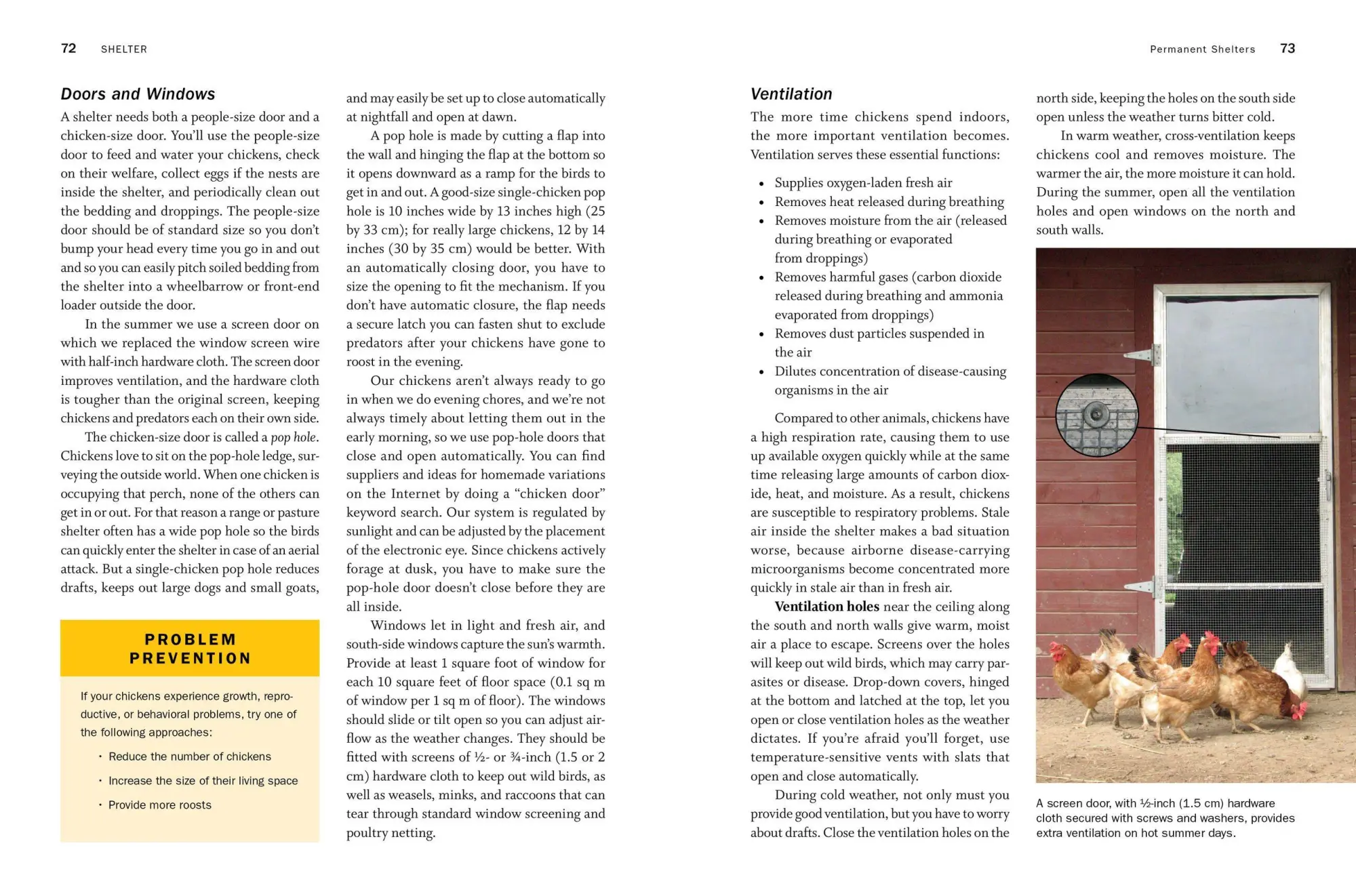 Bild: 9781612129303 | Storey's Guide to Raising Chickens, 4th Edition | Gail Damerow | Buch