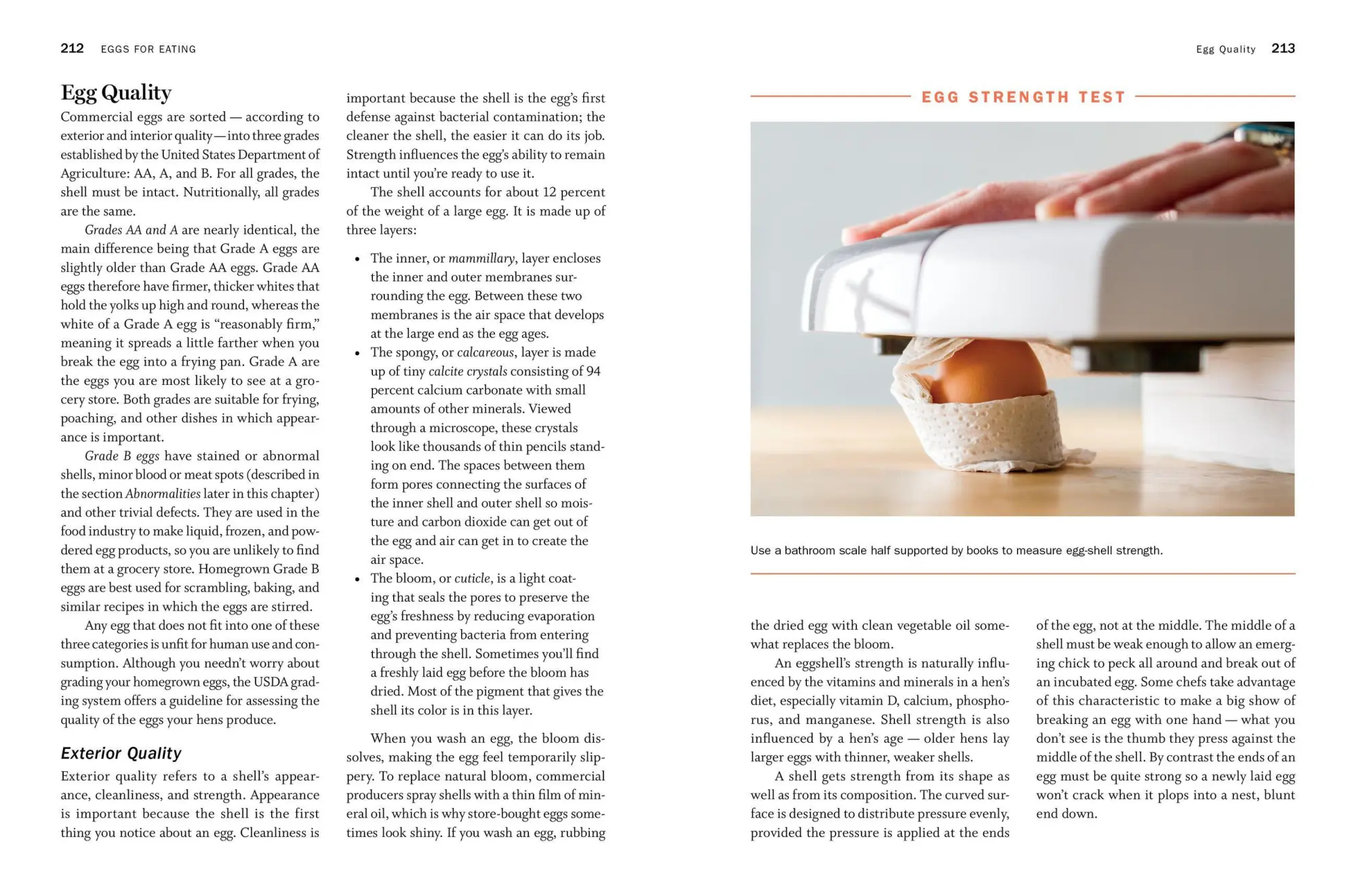 Bild: 9781612129303 | Storey's Guide to Raising Chickens, 4th Edition | Gail Damerow | Buch