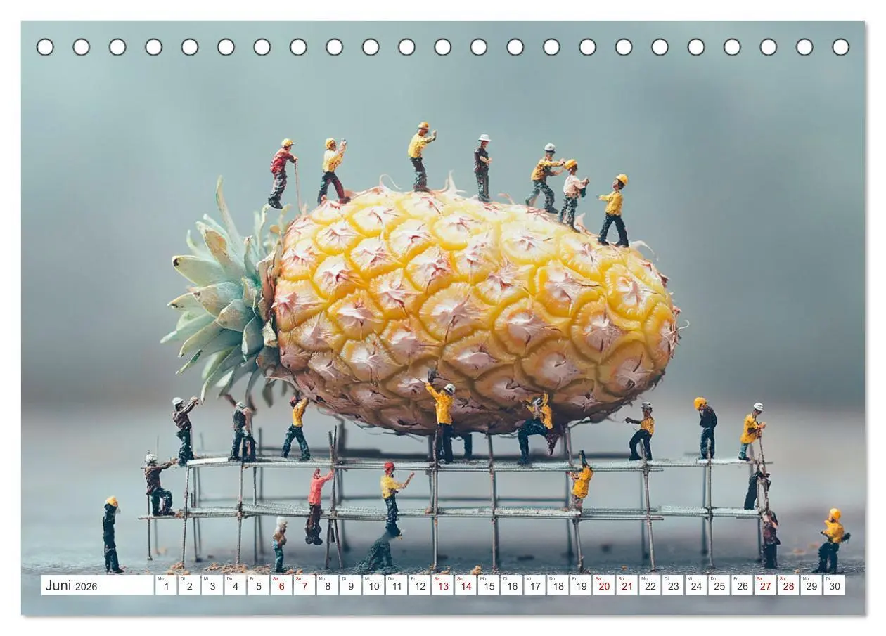 Bild: 9783457359303 | Miniatur-Universum: Ein Jahr in kleinen Welten (Tischkalender 2026...