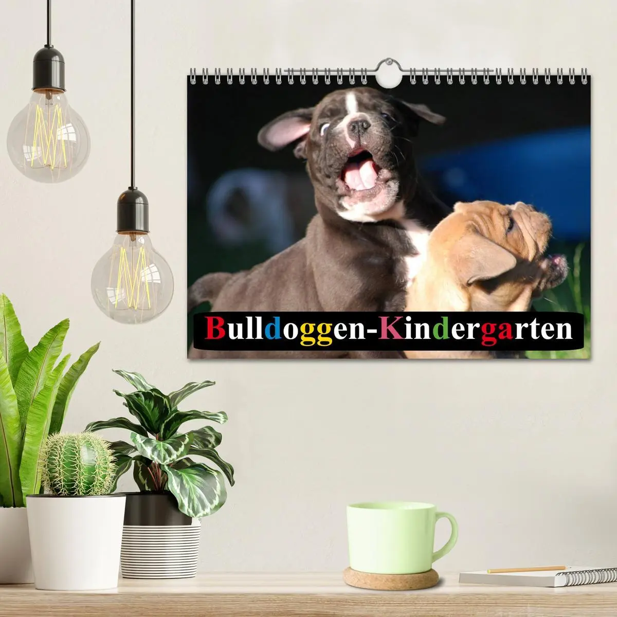 Bild: 9783516139303 | Bulldoggen-Kindergarten (Wandkalender 2026 DIN A4 quer), CALVENDO...