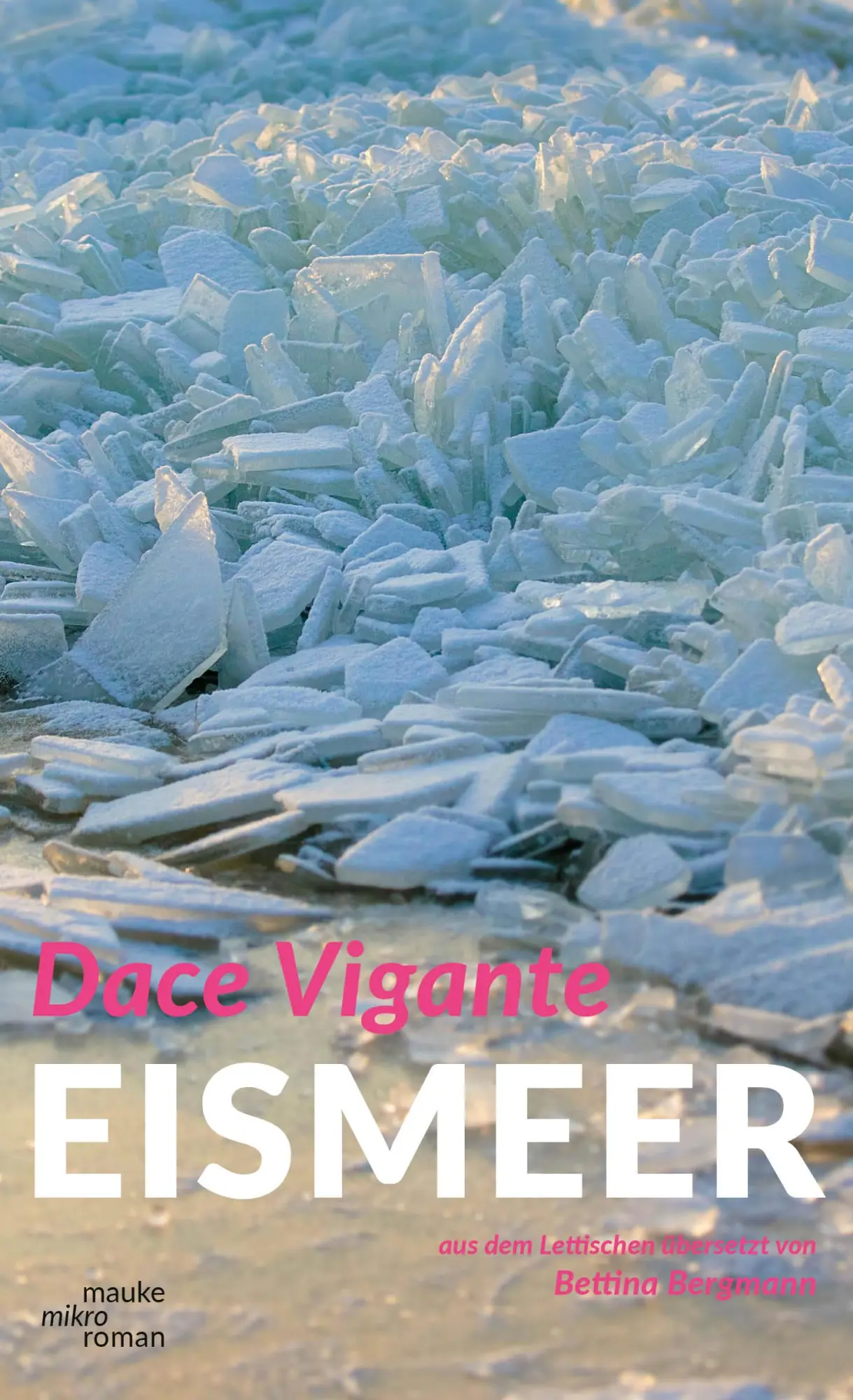 Cover: 9783948259303 | Eismeer | Dace V¿gante | Buch | 120 S. | Deutsch | 2025