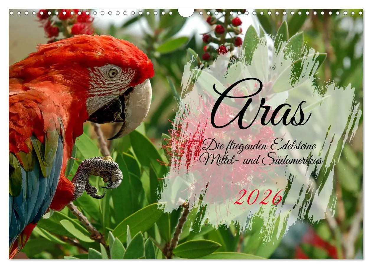 Cover: 9783457589403 | Aras - die fliegenden Edelsteine Mittel- und Südamerikas...