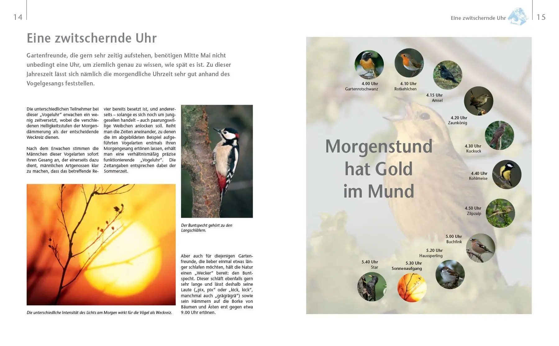 Bild: 9783625199403 | Vögel zu Gast im Garten - Heimische Vögel beobachten, bestimmen,...