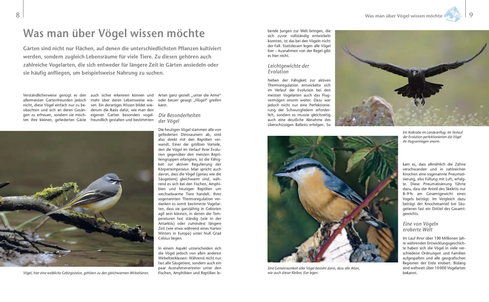 Bild: 9783625199403 | Vögel zu Gast im Garten - Heimische Vögel beobachten, bestimmen,...