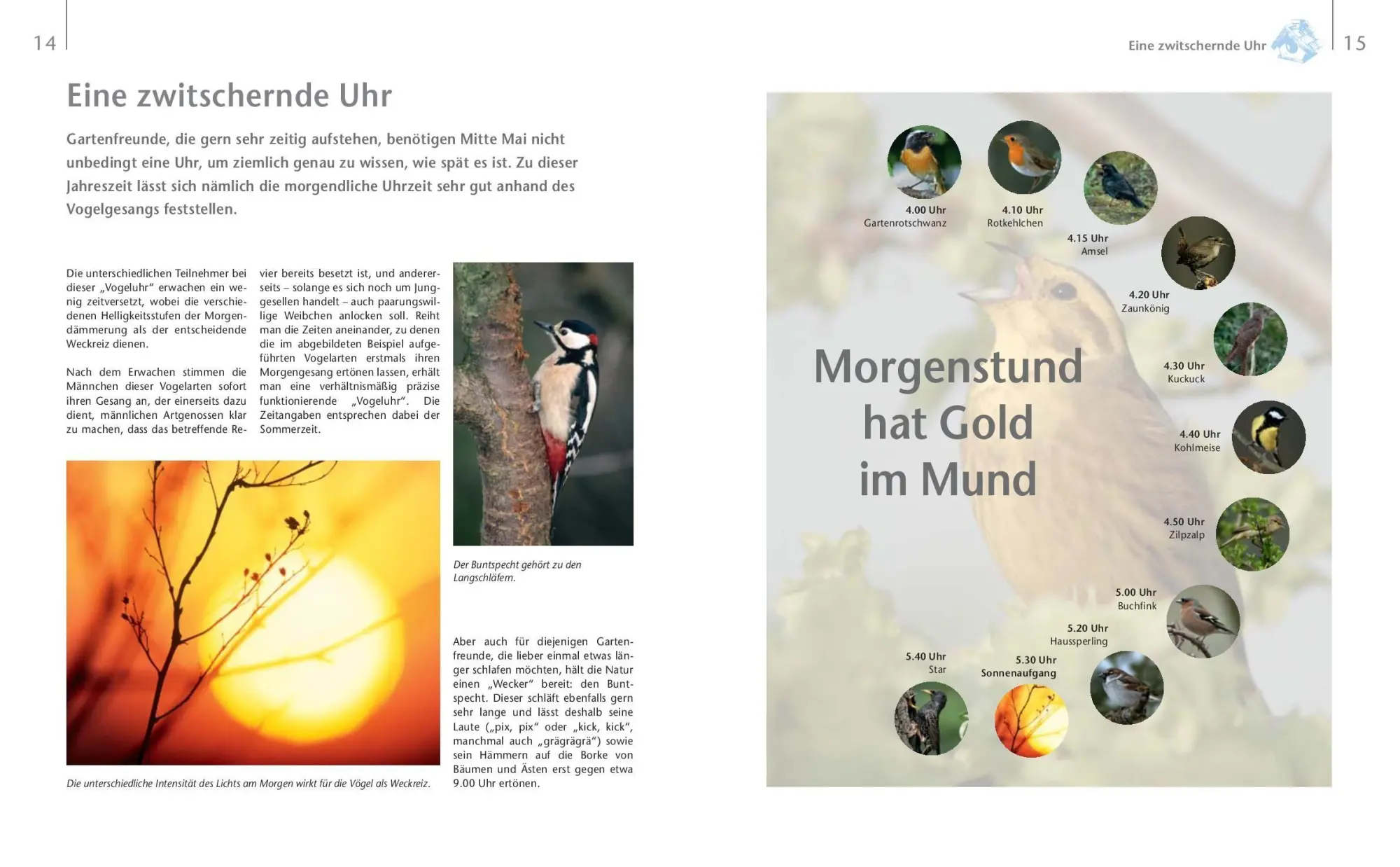 Bild: 9783625199403 | Vögel zu Gast im Garten - Heimische Vögel beobachten, bestimmen,...