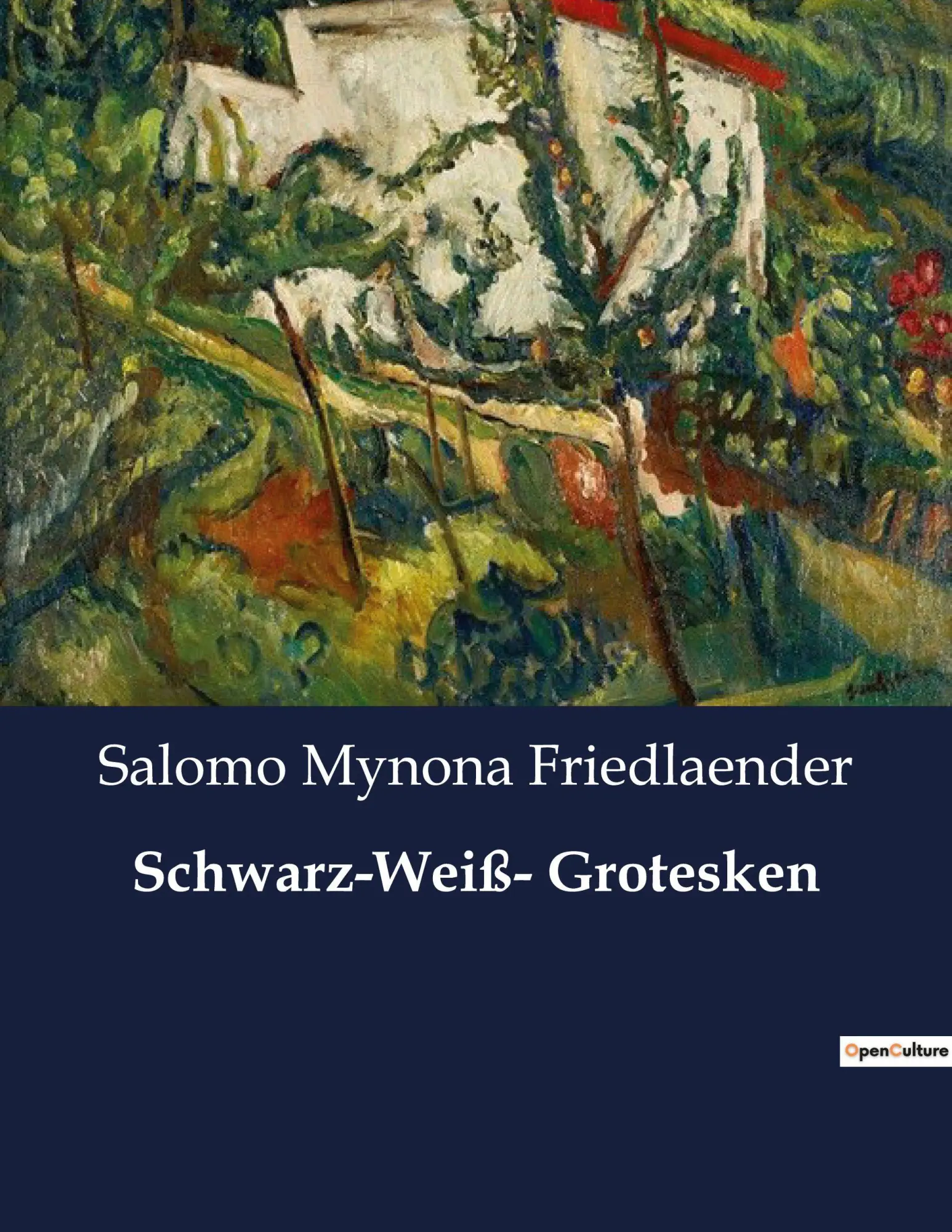 Cover: 9791041949403 | Schwarz-Weiß- Grotesken | Salomo Mynona Friedlaender | Taschenbuch