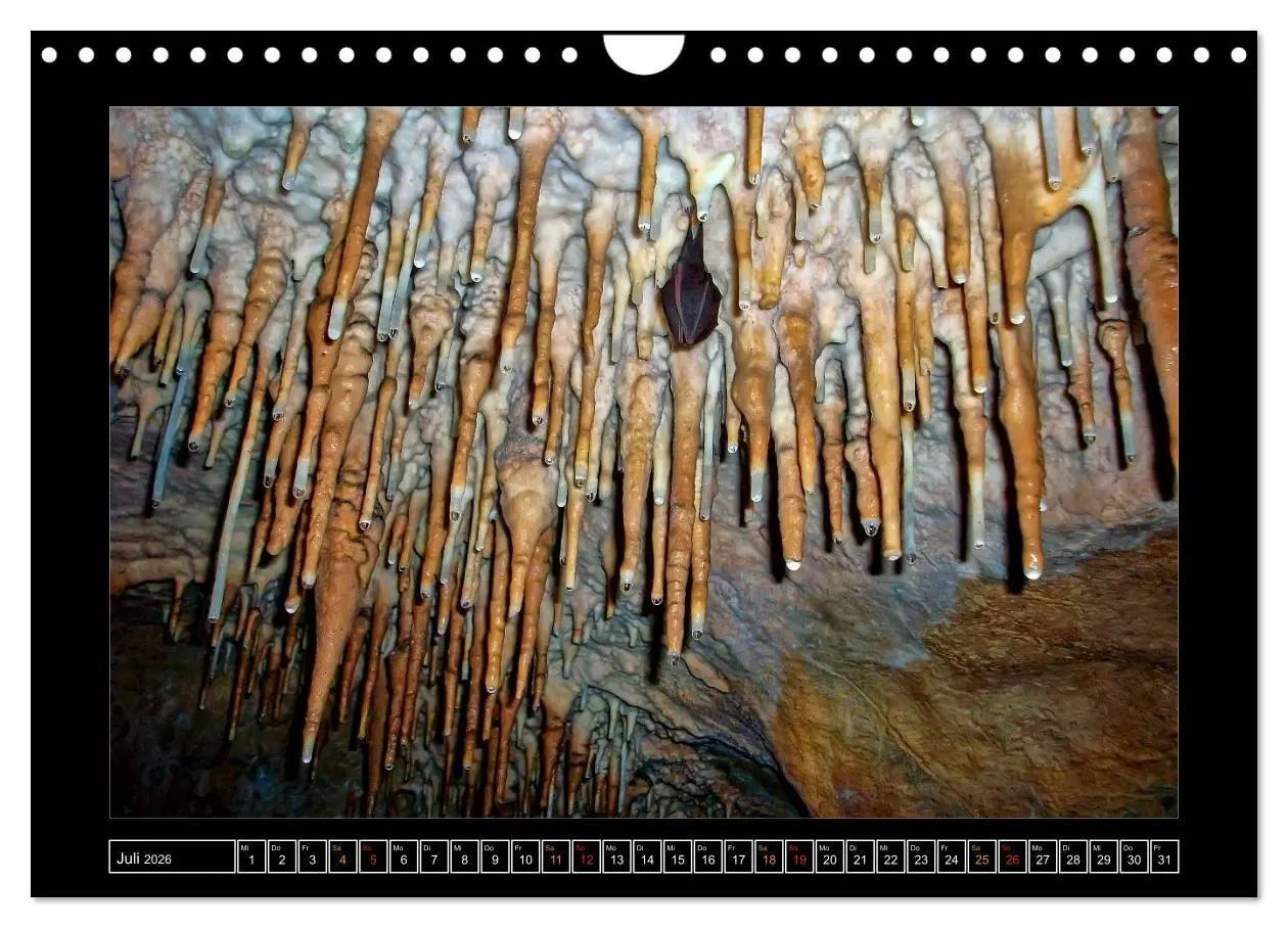 Bild: 9783516049503 | Höhlen, Stalaktiten und Stalagmiten (Wandkalender 2026 DIN A4...